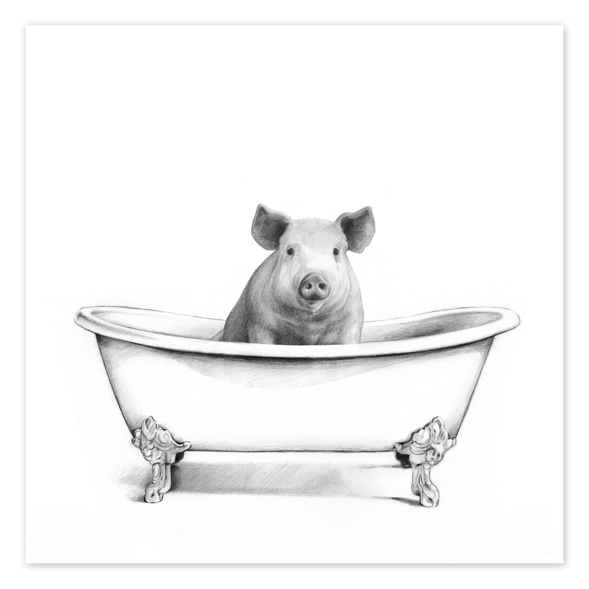 Posterlounge Wandbild Schwein in der Wanne, Victoria Borges, erhältlich als Poster, Leinwandbild, Wandsticker oder Acrylglasbild