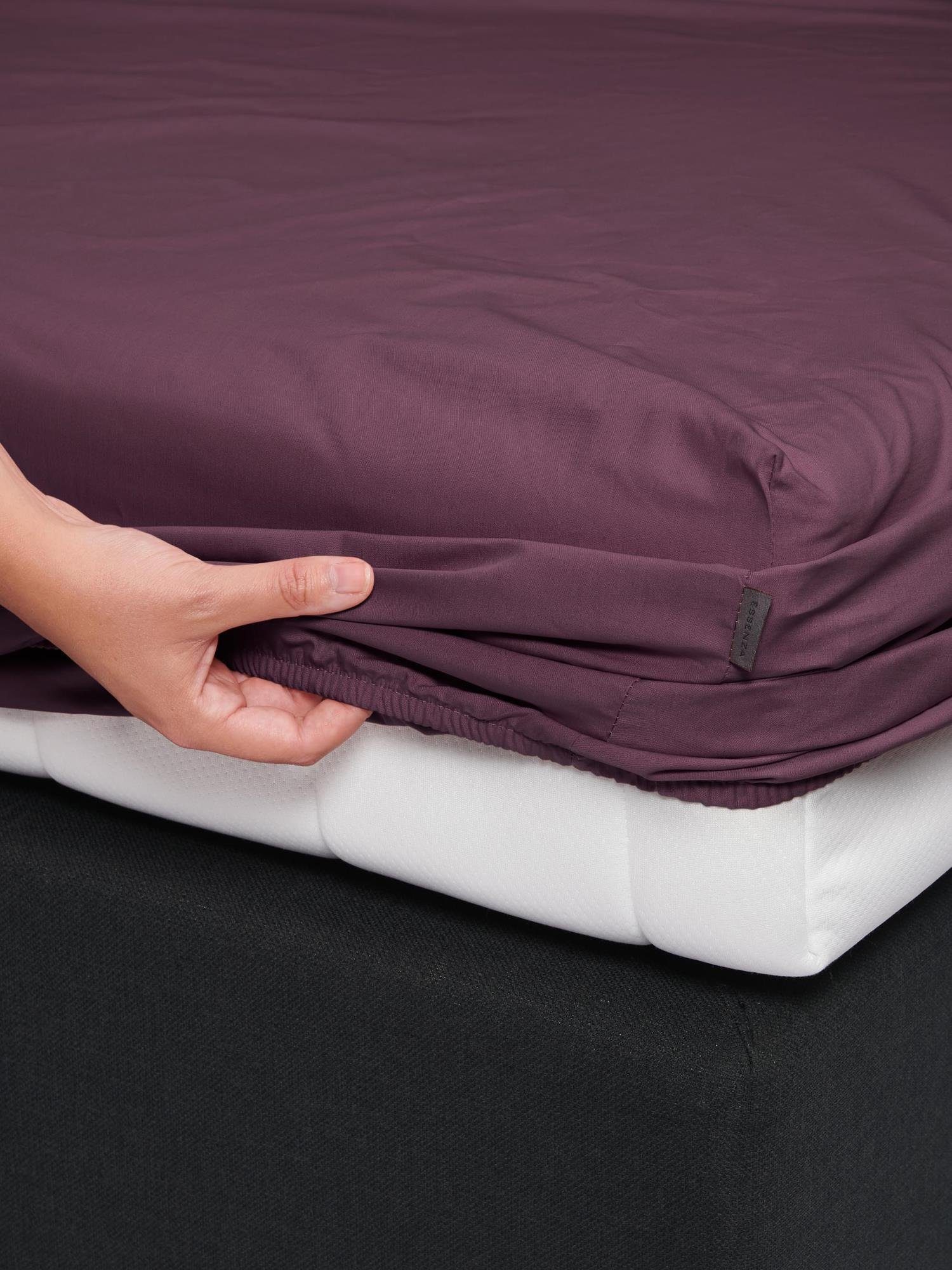 Essenza Spannbettlaken Premium Percale, Perkal, Gummizug: rundum, (1 Stück) günstig online kaufen