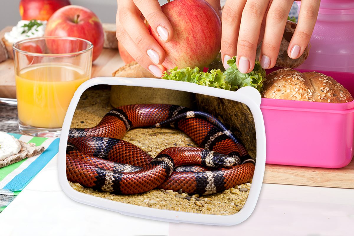 MuchoWow Lunchbox Schlange - - Brotdose Kinder, Snackbox, Sand für Kunststoff Kunststoff, Mädchen, Rot, rosa (2-tlg), Erwachsene, Brotbox