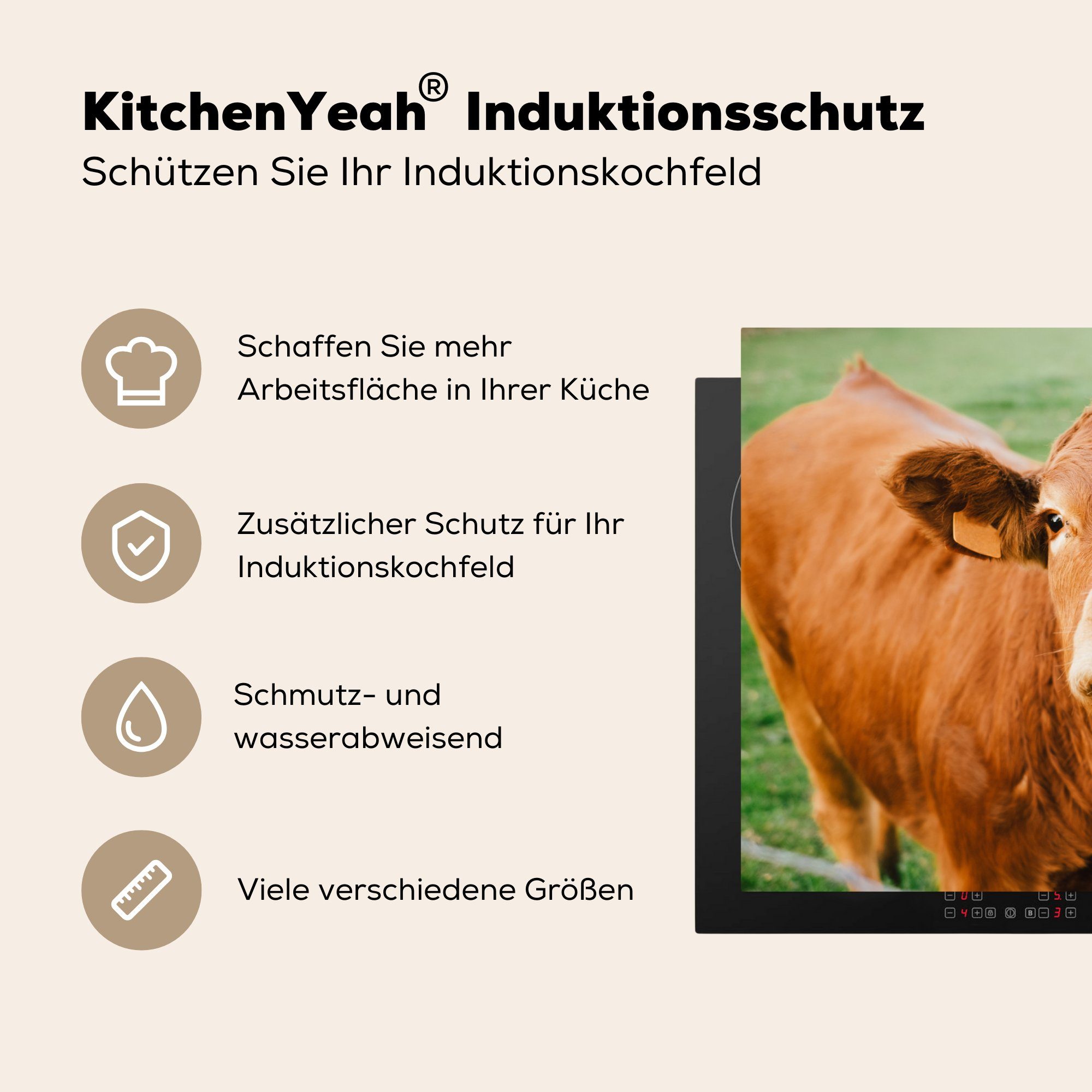 küche, für die Induktionskochfeld MuchoWow - Gras, - 81x52 Schutz tlg), Ceranfeldabdeckung Braun cm, Herdblende-/Abdeckplatte Vinyl, (1 Kuh