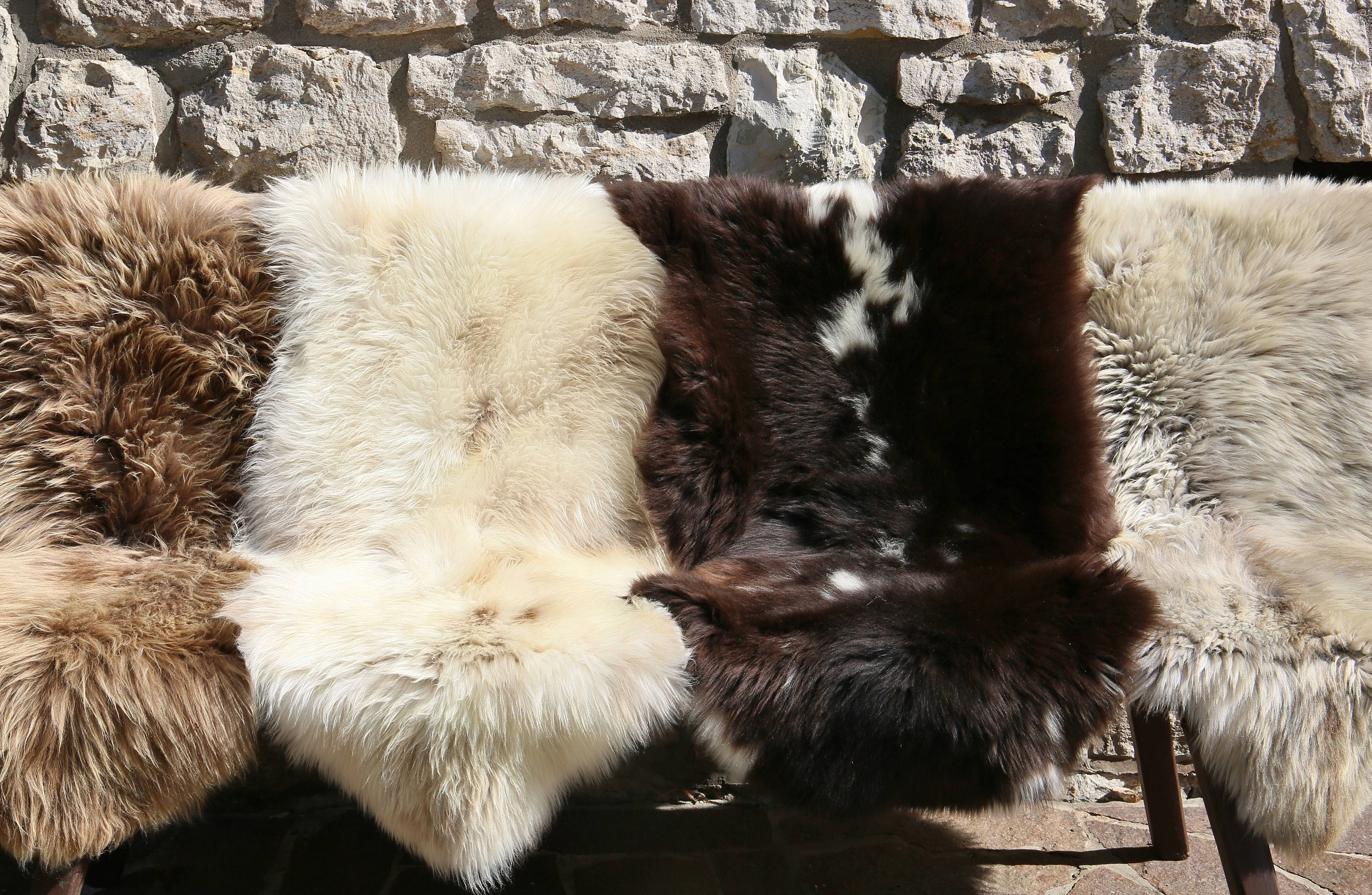 Hollert Fellteppich Englisch gescheckt Schaffell Läufer Teppich, Tierform