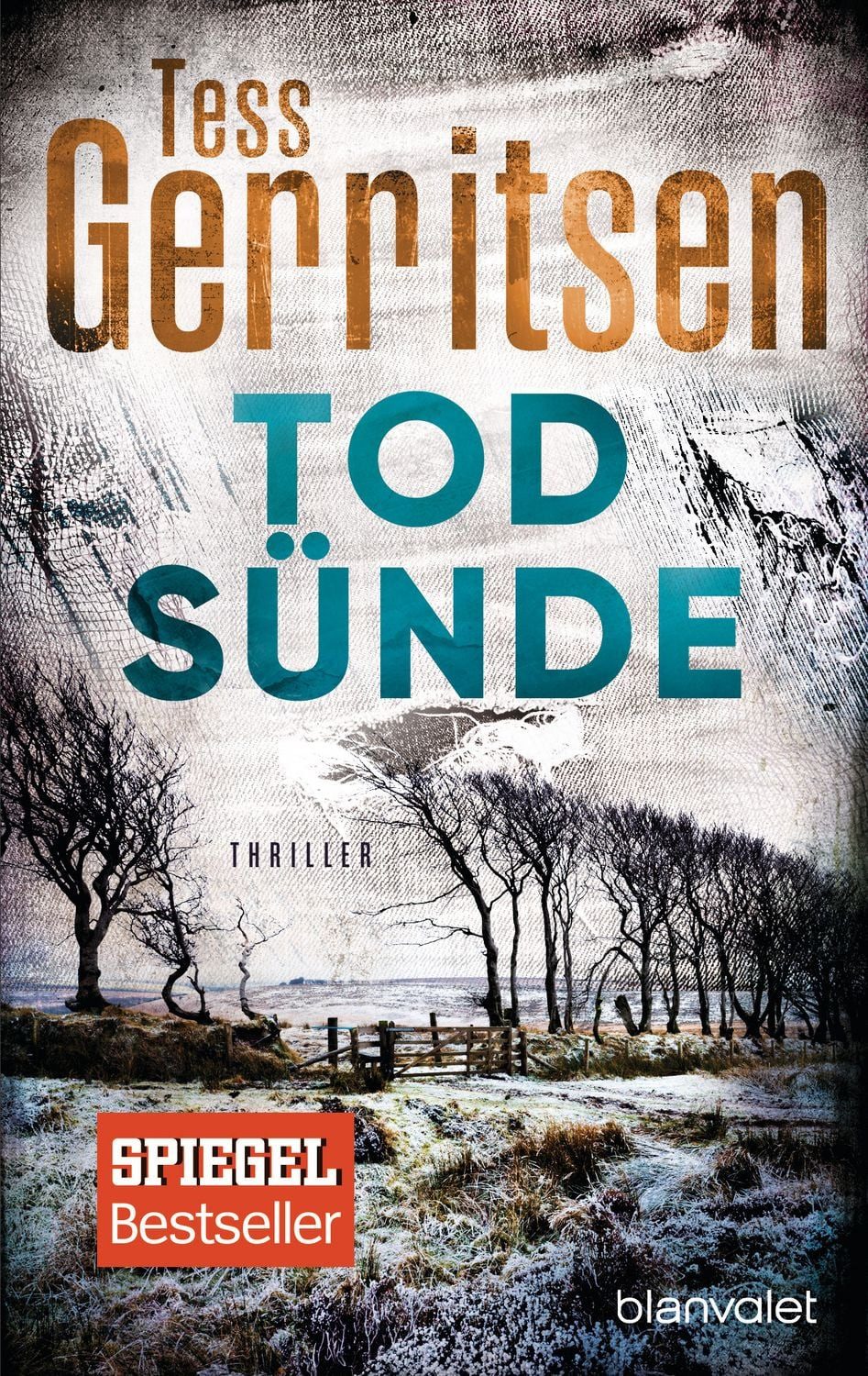 Belletristik Todsünde Thriller Tess Gerritsen