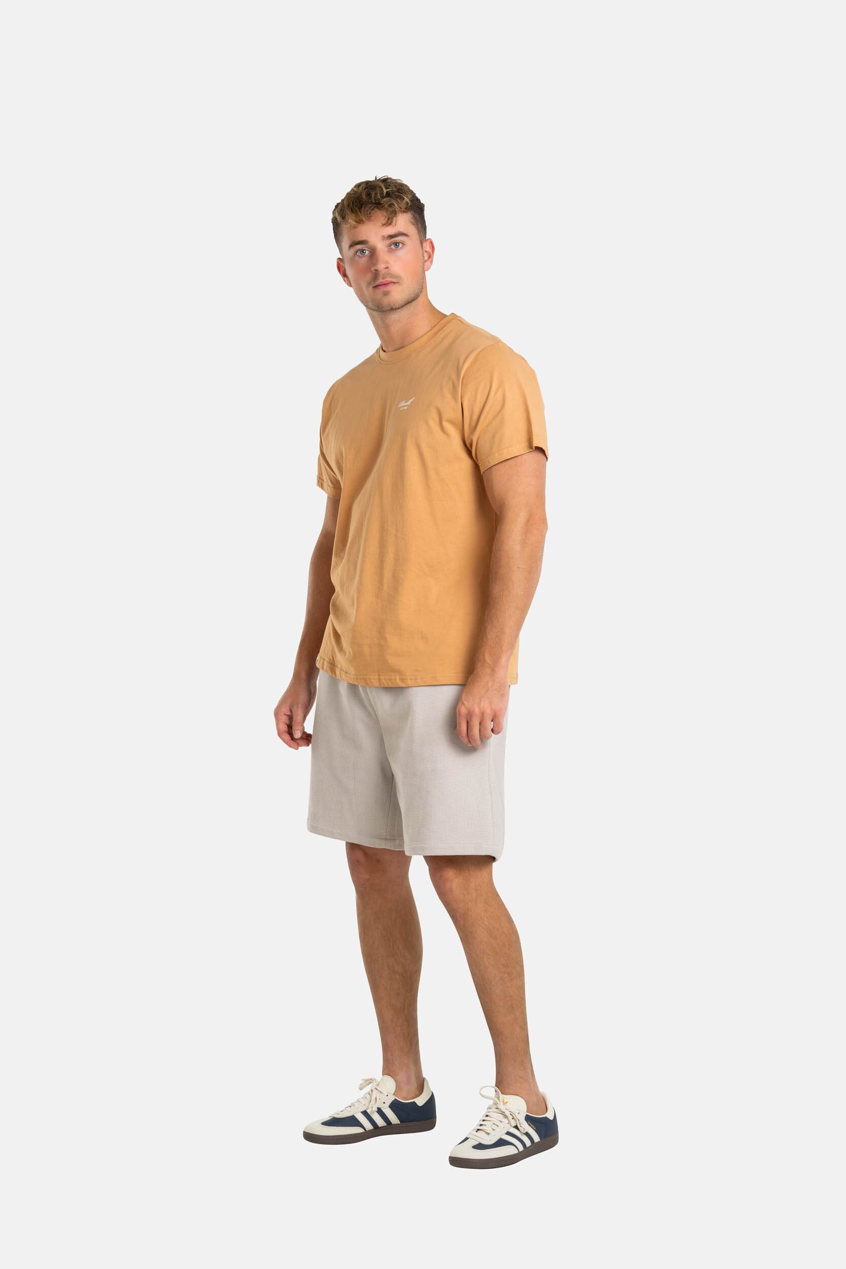 REELL Chinoshorts Surface