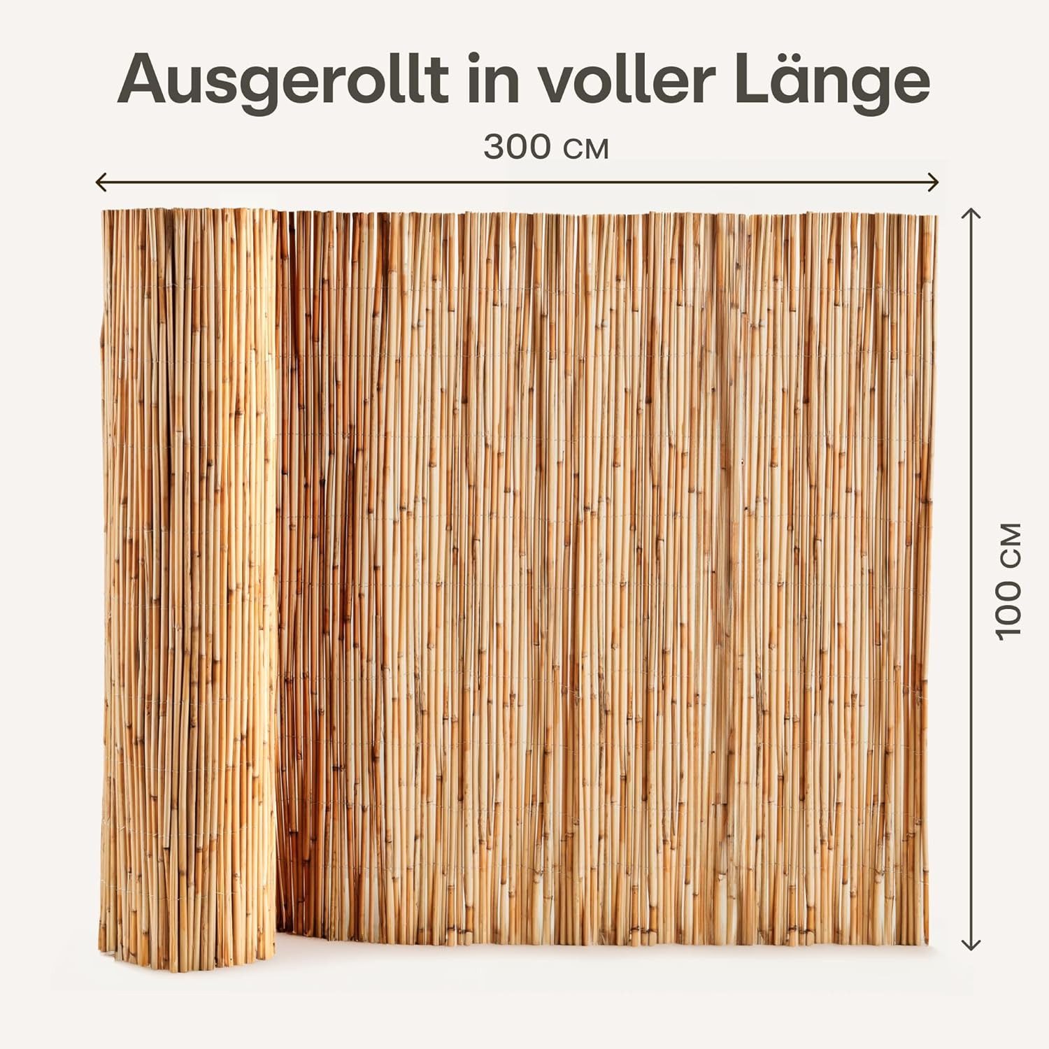 Praknu Balkonsichtschutz Schilf Balkon Sichtschutz - FSC® Zertifiziertes, Natürliches Schilf (Einzelartikel, Schilf Sichtschutz 300x100cm FSC-zertifiziert wette – Bild 4 von 5