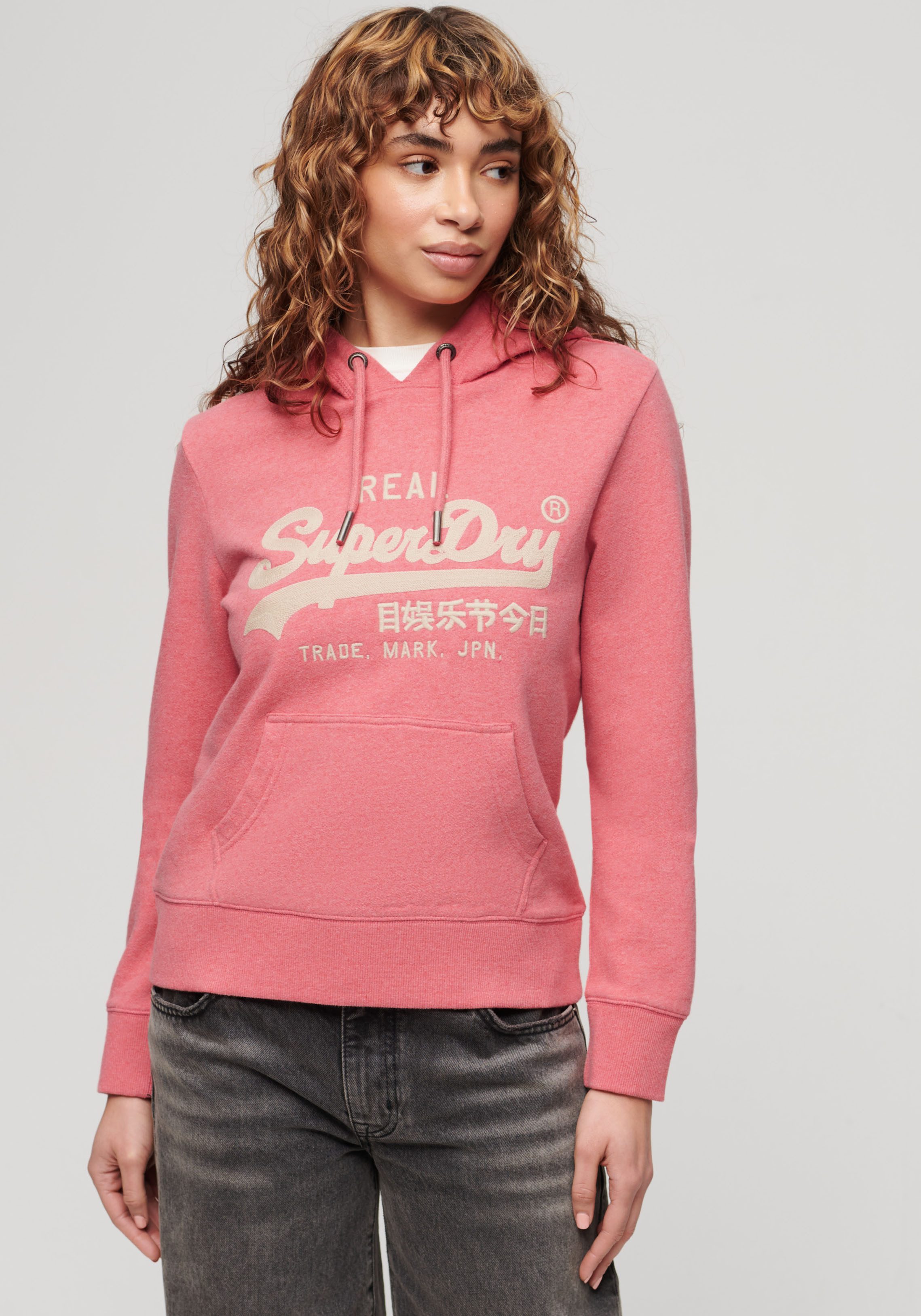 Superdry Kapuzensweatshirt EMBROIDERED VL GRAPHIC HOODIE