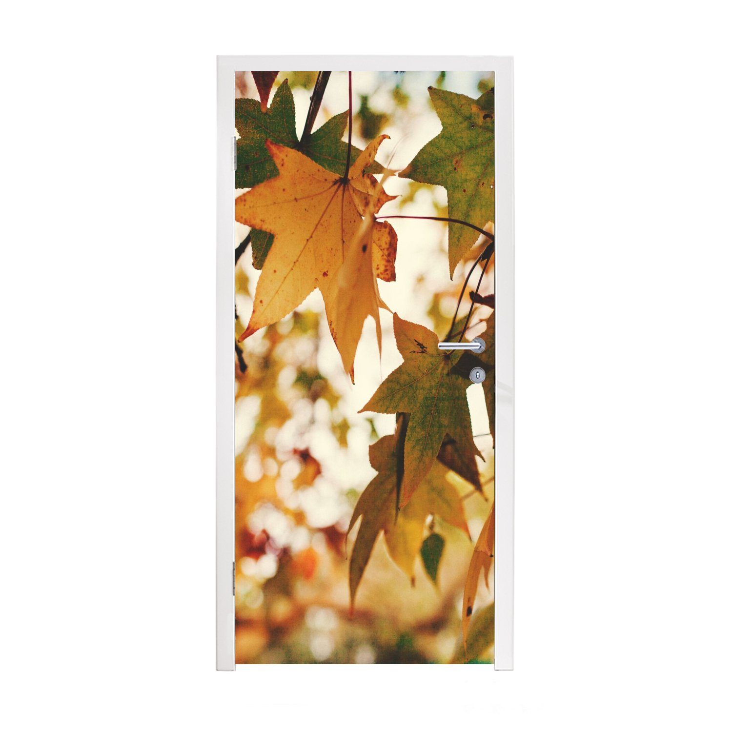 MuchoWow Türtapete Natur - Herbstblätter - Rustikal, Matt, bedruckt, (1 St), Fototapete für Tür, Türaufkleber, 75x205 cm