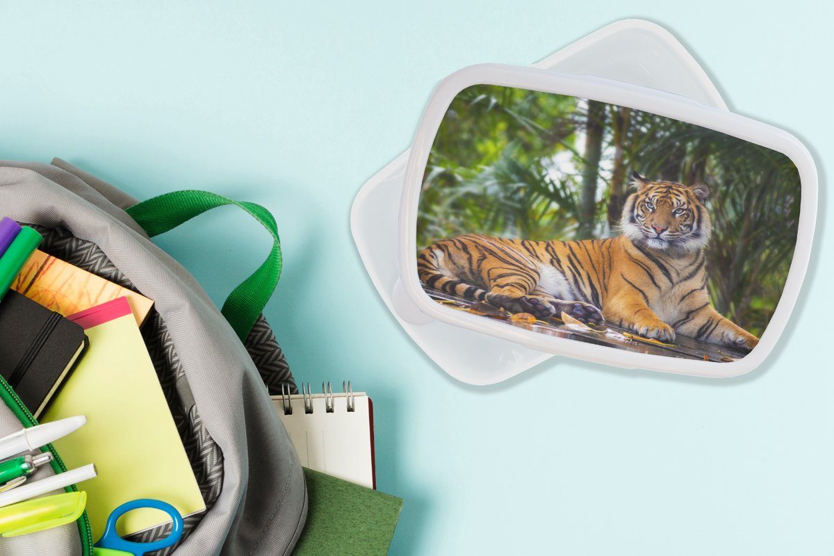 - für - Tiger für Wald Mädchen und weiß Lunchbox Brotdose, und MuchoWow Kunststoff, Kinder Tiere Dschungel, Erwachsene, - (2-tlg), Jungs Brotbox