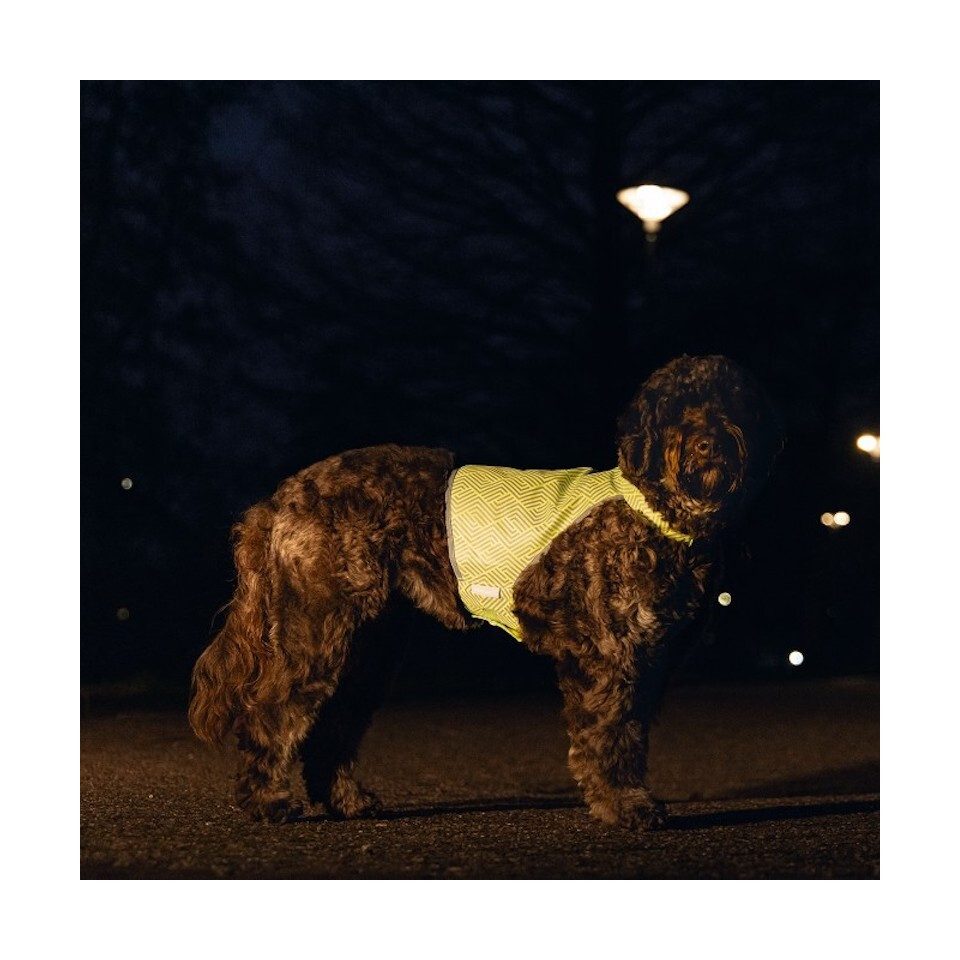 Beeztees Hundewarnweste Safety Gear Sicherheitsweste Ava reflektierend