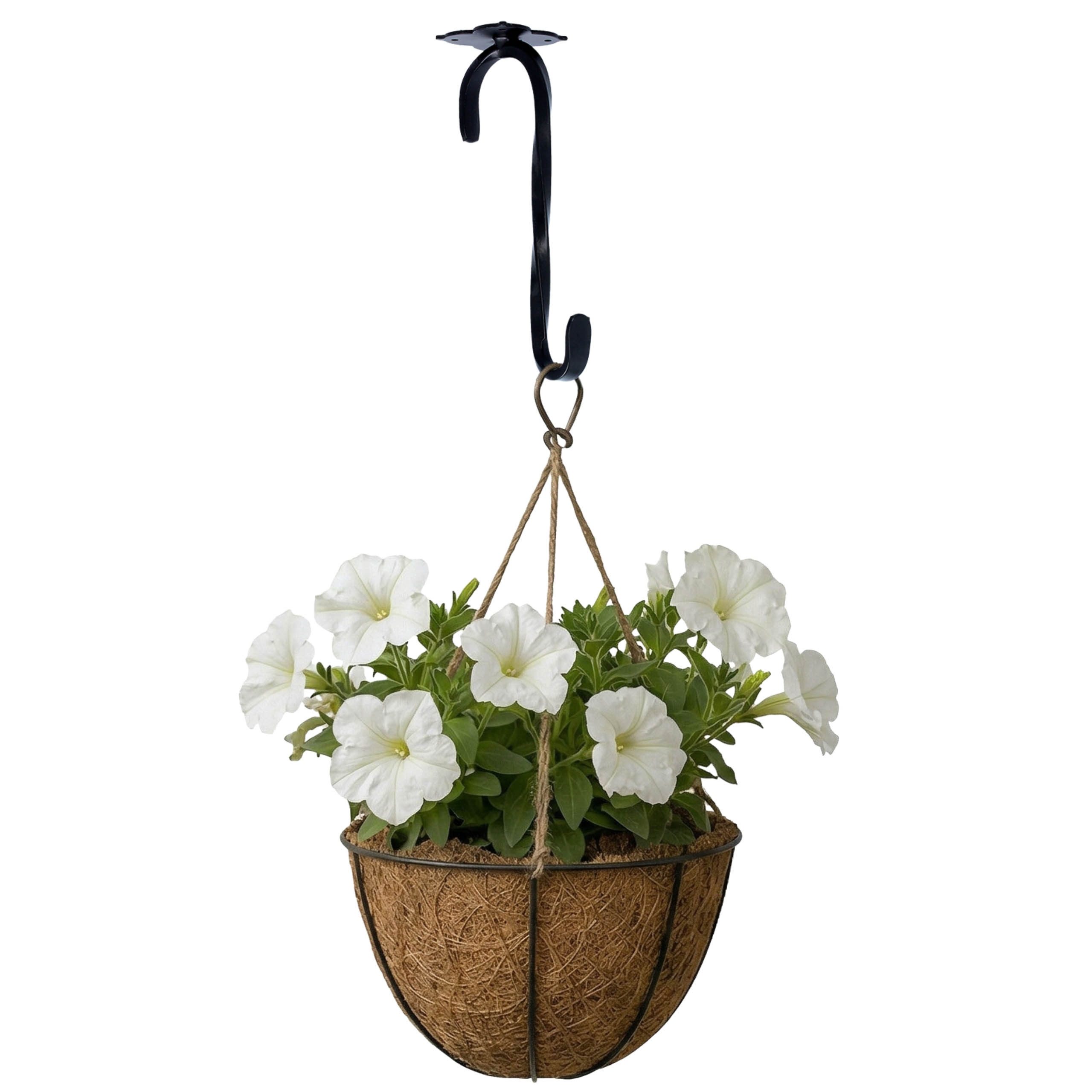 Sarcia.eu Deckenhalter Schwarzer Deckenhalter für Blumentöpfe, stabiler Haken 21 cm