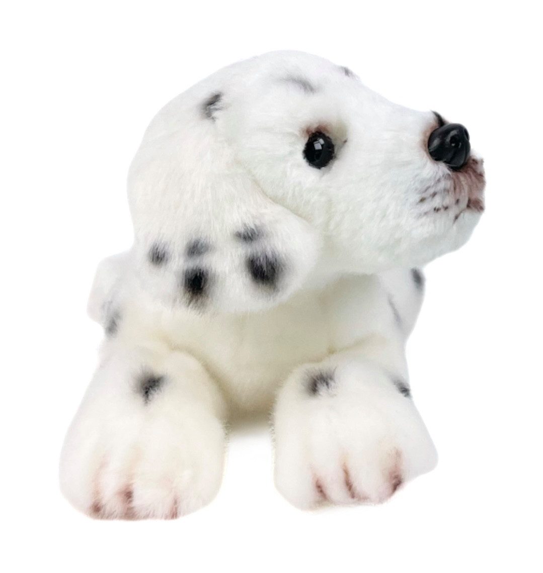 Teddys Rothenburg Kuscheltier Dalmatiner liegend 30 cm Plüschhund