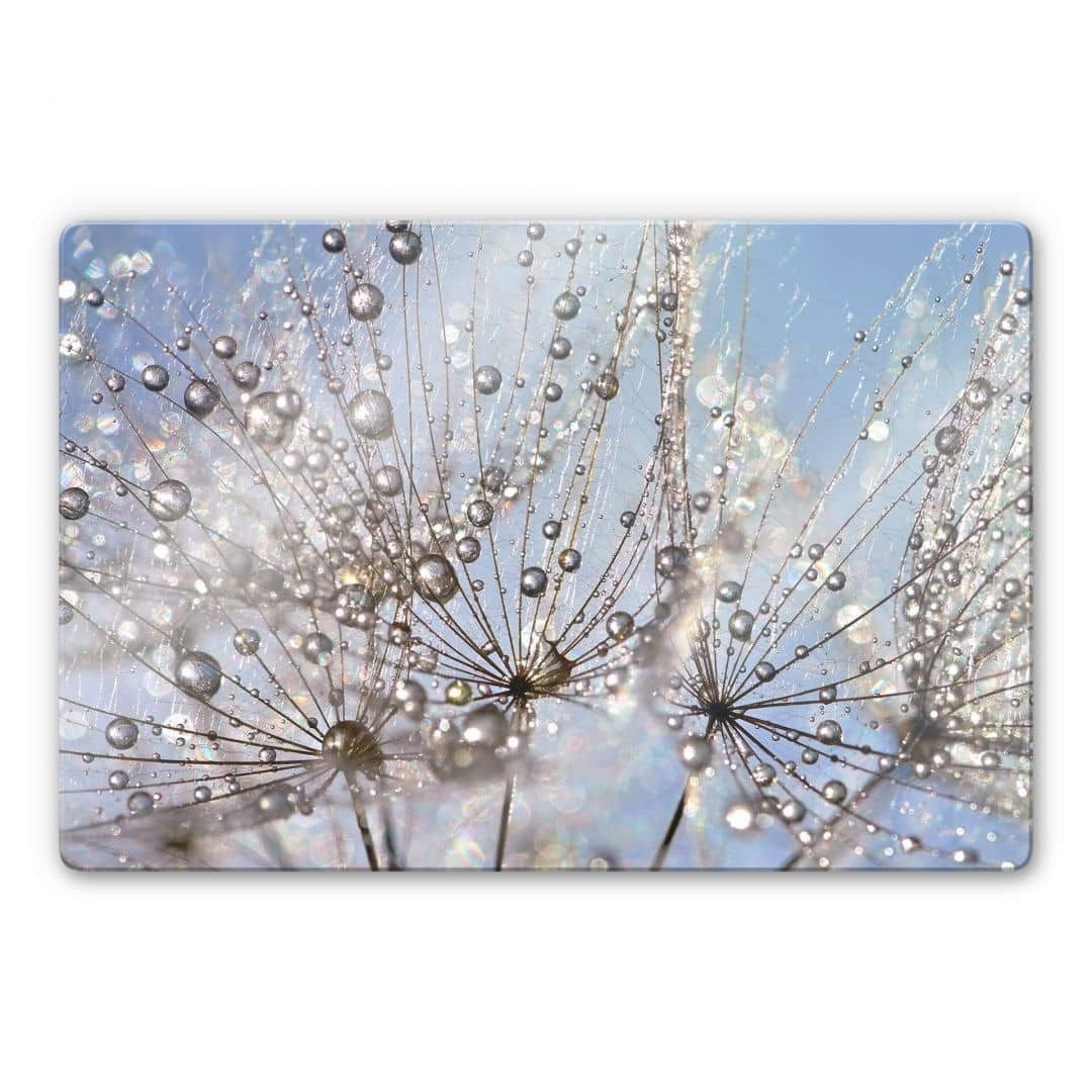 K&L Wall Art Glasbild Glasbild modern Wassertropfen Pusteblume by Delgado, Glasposter Wohnzimmer Deko, Wohnzimmer Wanddeko aus Glas moderne Glasbilder inkl. Wandhalterung
