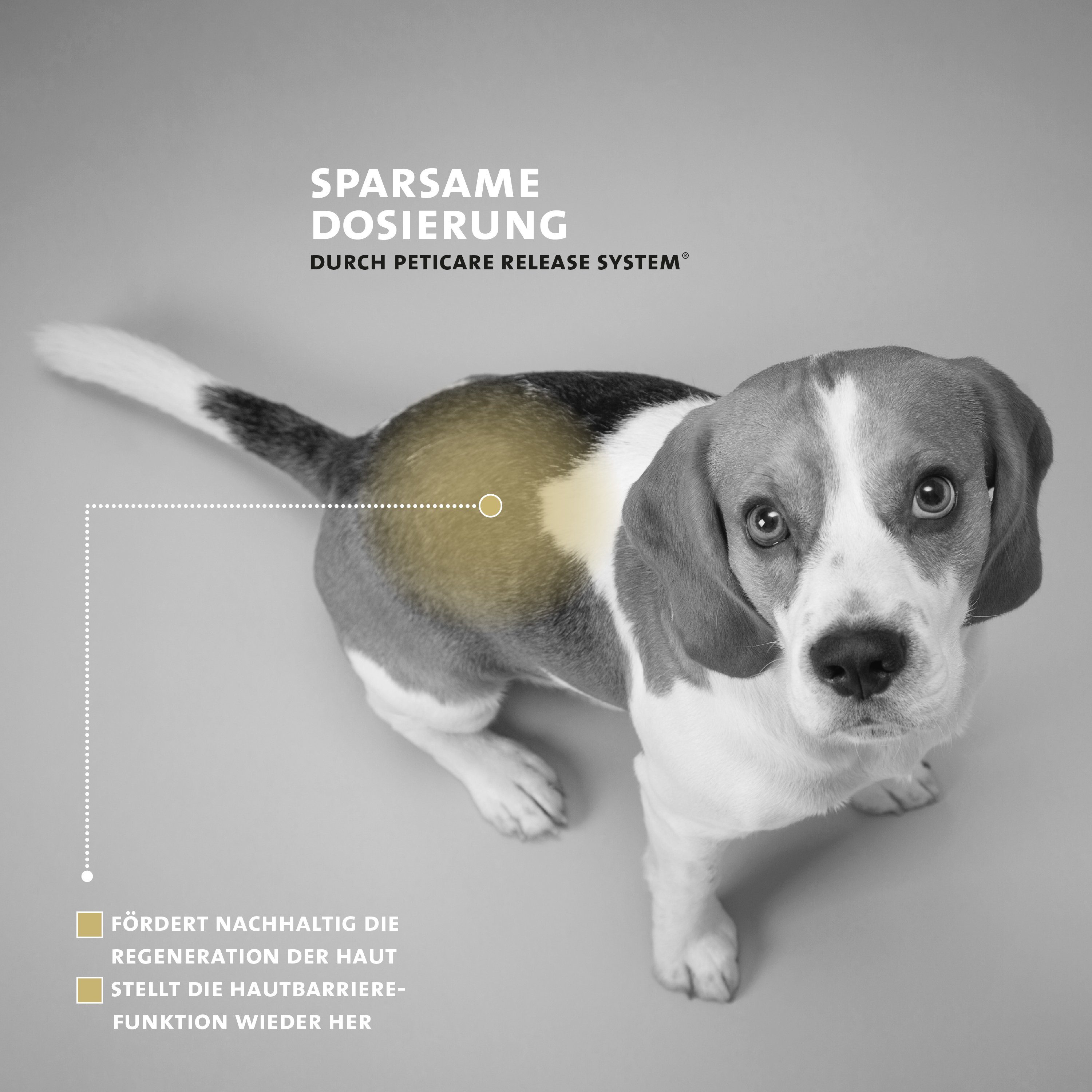 Peticare Paraffinwachs petDog Health Haustiere für - Haut-Repair, Wund-Balsam 2107