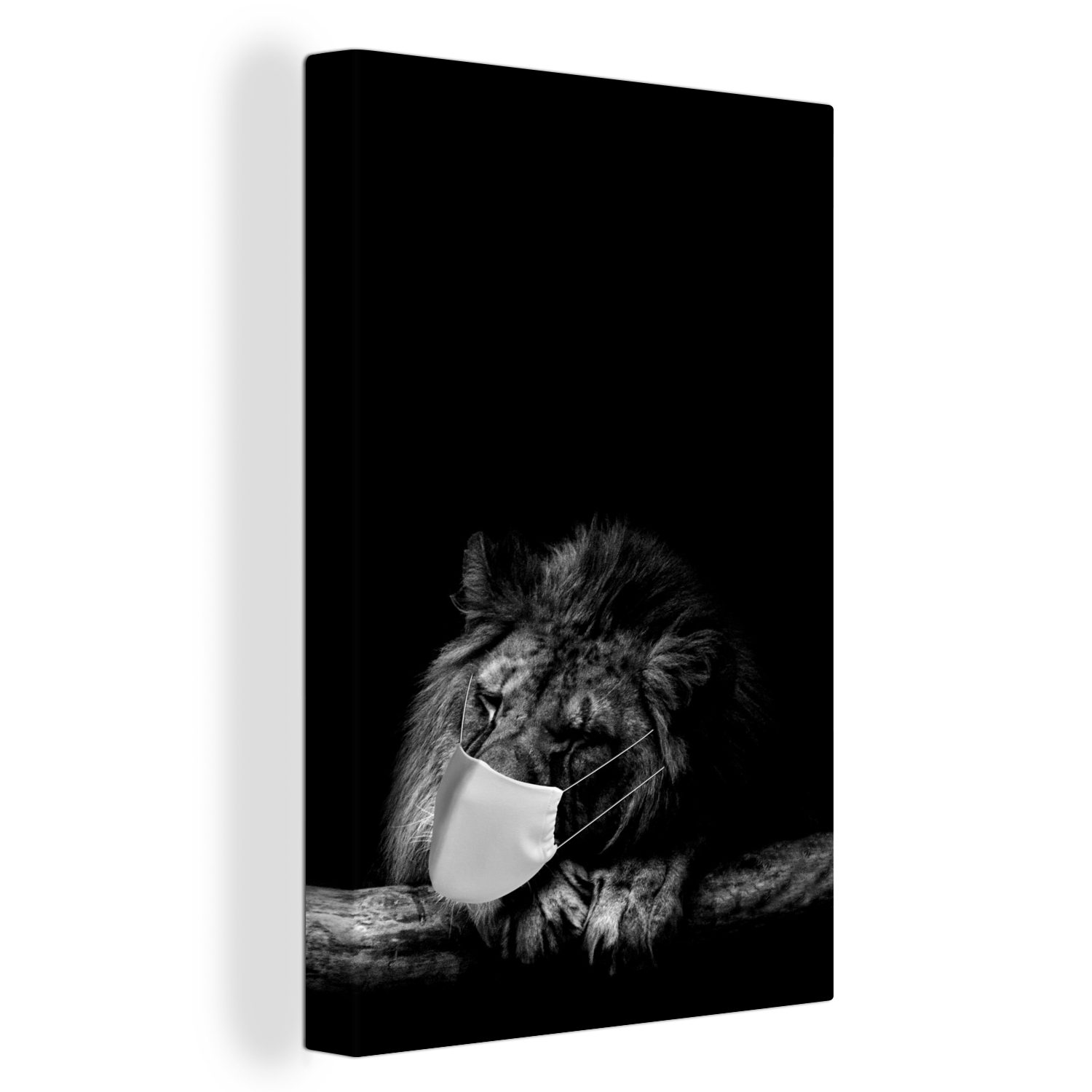 OneMillionCanvasses® Leinwandbild Löwe mit Mundschutz - schwarz und weiß, (1 St), Leinwandbild fertig bespannt inkl. Zackenaufhänger, Gemälde, 20x30 cm