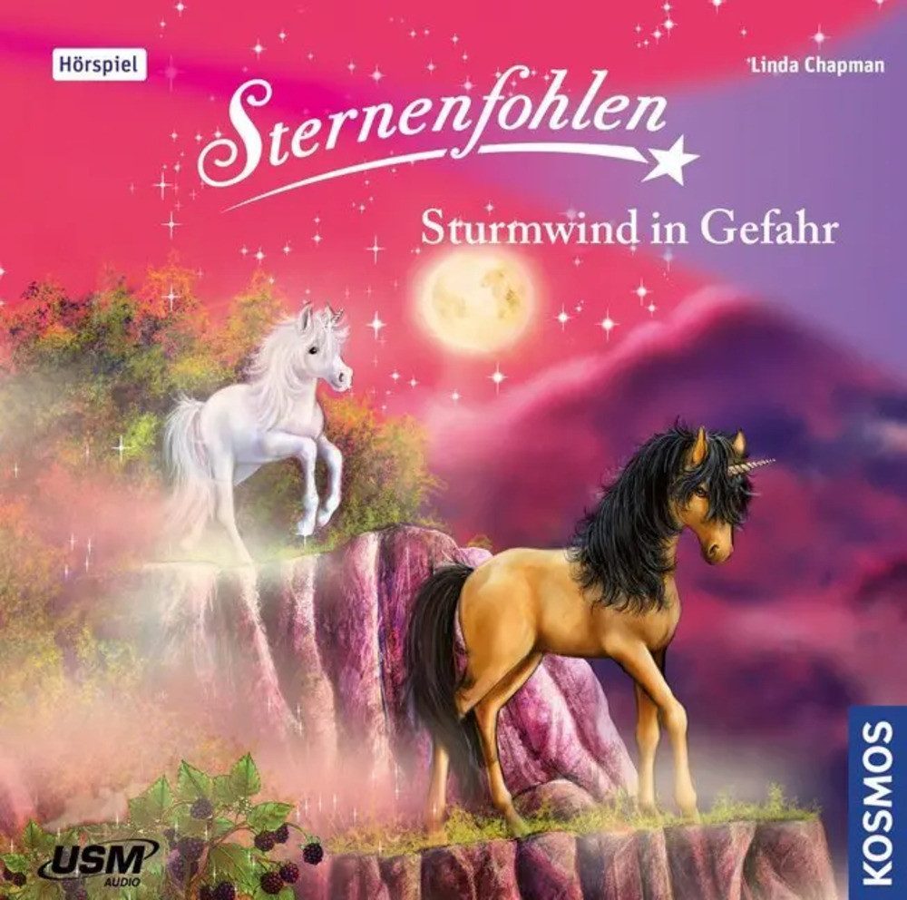 Hörspiel Sternenfohlen - Sturmwind in Gefahr, 1 Audio-CD