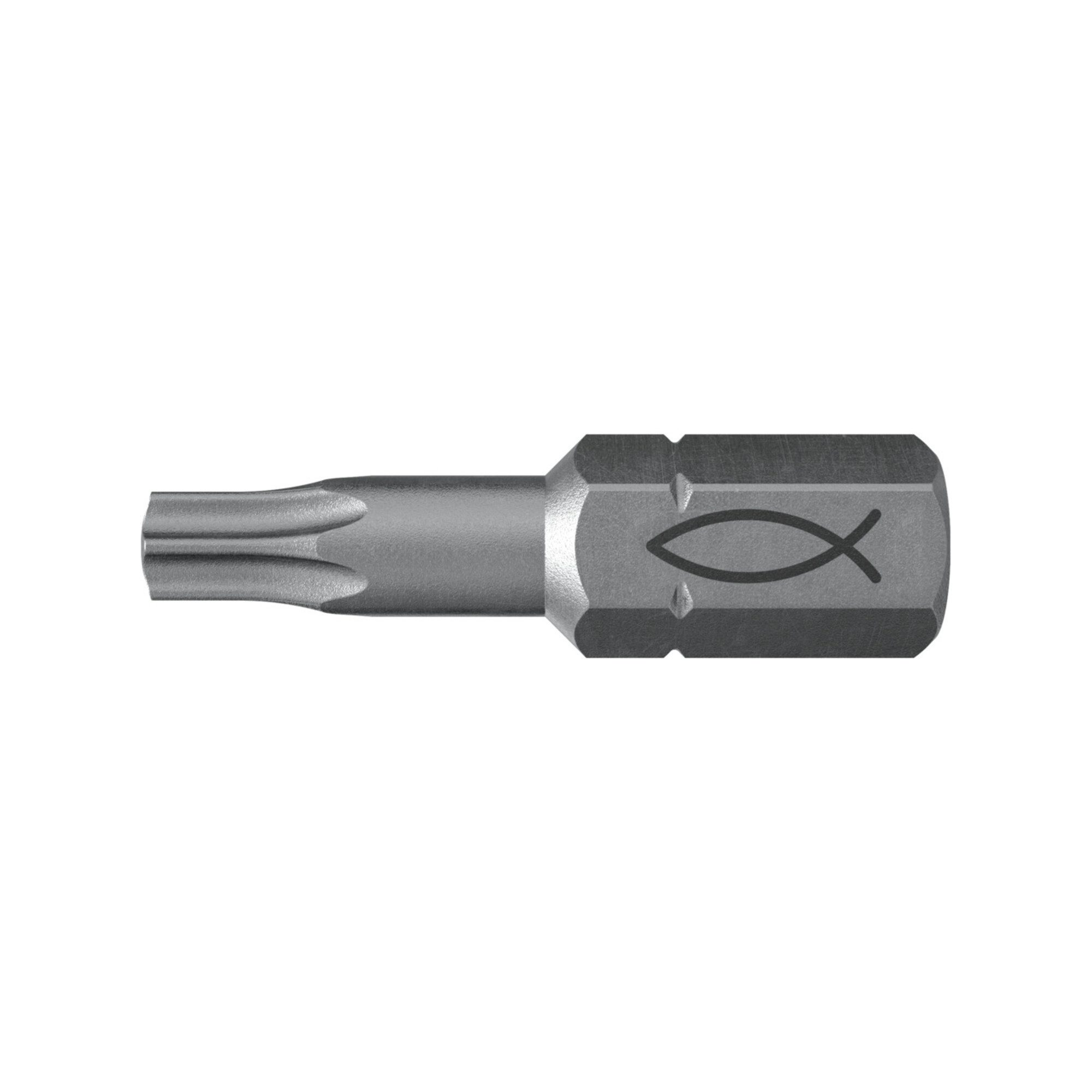 fischer Torx-Bit fischer Profi Bit FPB T 10