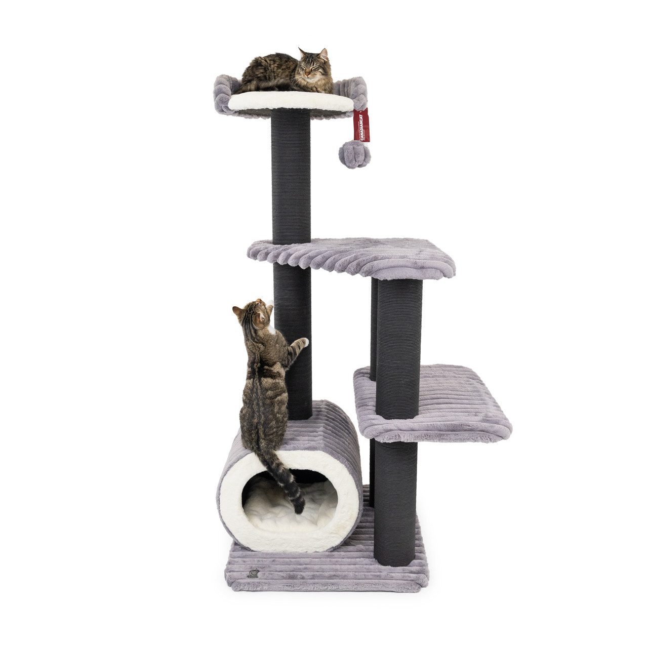 Canadian Cat Company Kratzbaum Brandon, Katzenmöbel, Kletterturm, grau, 68 x 68 x 170 cm
