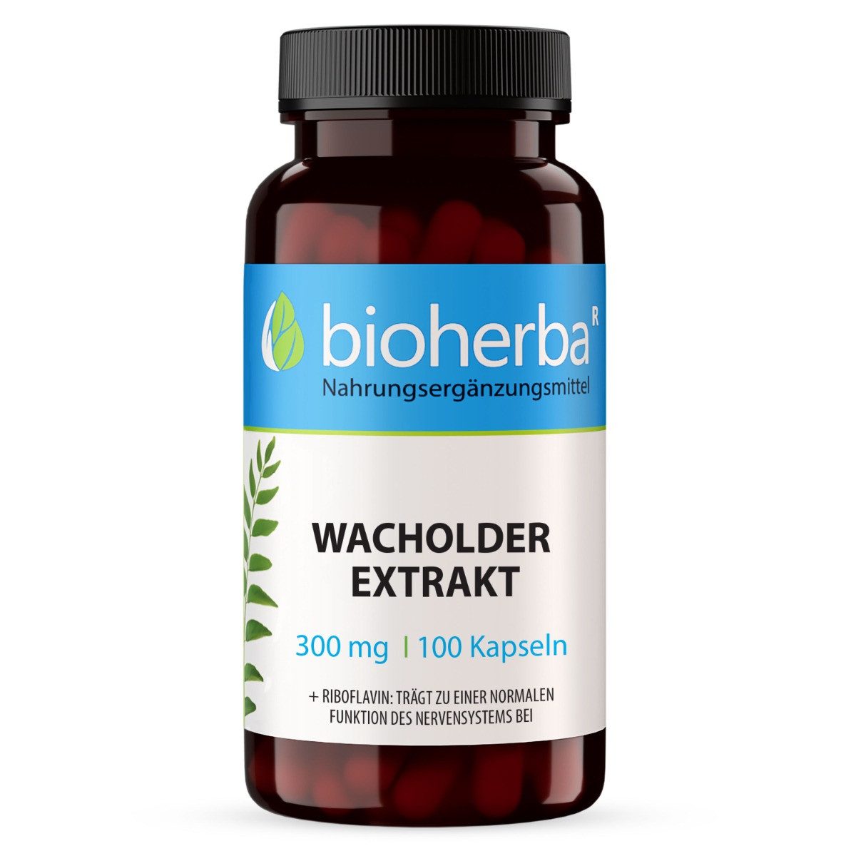 BIOHERBA R Bioherba Wacholder Extrakt 300 mg 100 Kapseln Nahrungsergänzungsmittel, 1 er