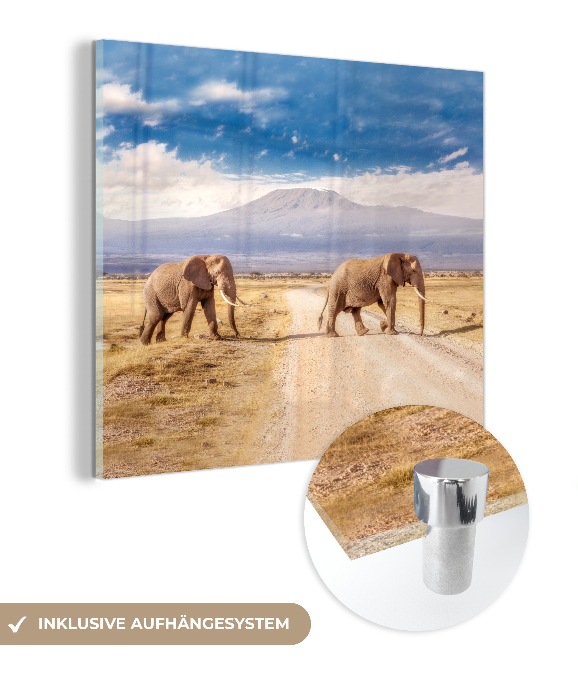 (1 Elefanten beim Wandbild - Foto auf Glas Bilder Drei Überqueren, Acrylglasbild Wanddekoration - Glasbilder - MuchoWow St), bunt auf Glas