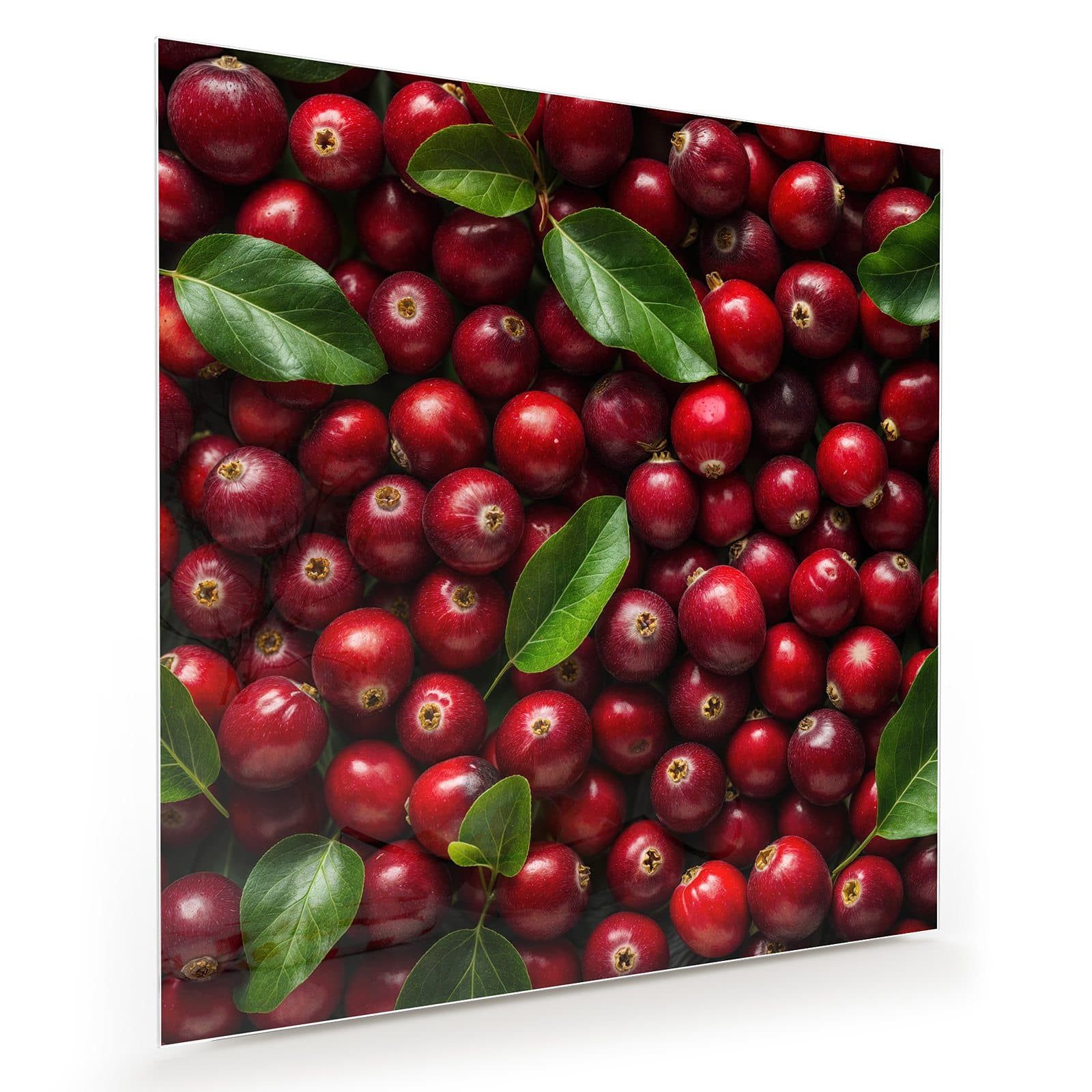 Glasbild Wandbild Quadratisch Frische Preiselbeeren mit Aufhängung
