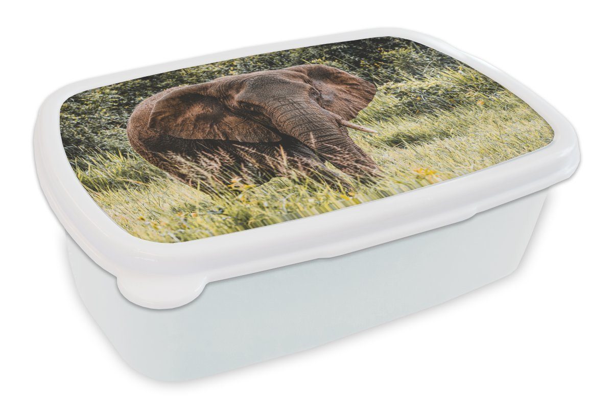 MuchoWow Lunchbox Elefant - Natur - Gras, Kunststoff, (2-tlg), Brotbox für Kinder und Erwachsene, Brotdose, für Jungs und Mädchen weiß