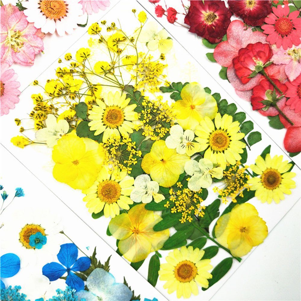 DIY Blusmart, blueD Trockenblumen-Material-Set, Gepresste Trockenblume Modische Pflanzen, Trockenblume Blumen,