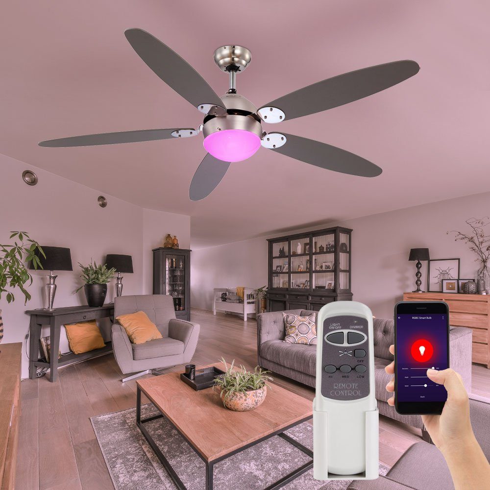 etc-shop Deckenventilator, Smart Decken Ventilator Alexa Google FERNBEDIENUNG Leuchte