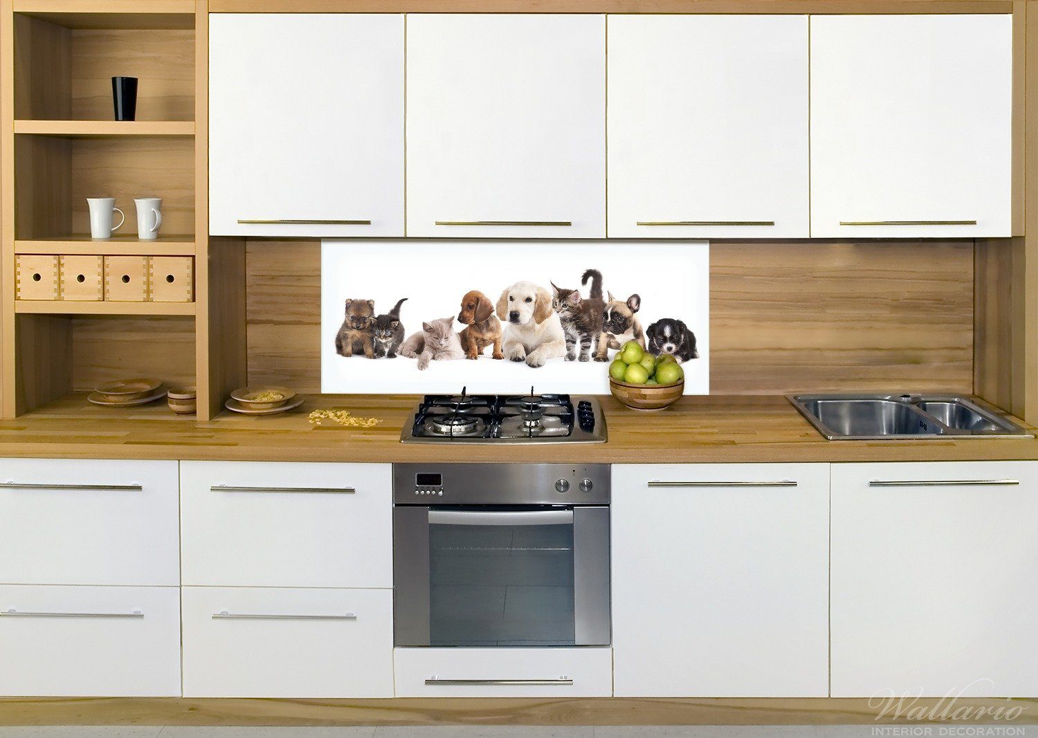 Wallario Küchenrückwand Hundewelpen (1-tlg) und Katzenjunge