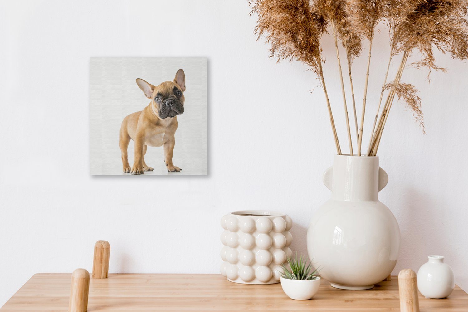 Leinwandbild (1 Bilder Braun Bulldogge OneMillionCanvasses® St), Französische Leinwand - - Weiß, für Schlafzimmer Wohnzimmer