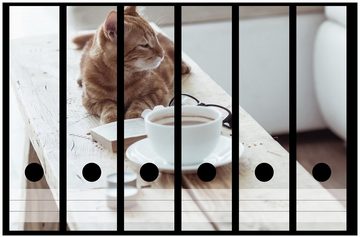 Wallario Etiketten Süße rot getigerte Katze beim Kaffee, Ordnerrücken-Sticker in verschiedenen Ausführungen