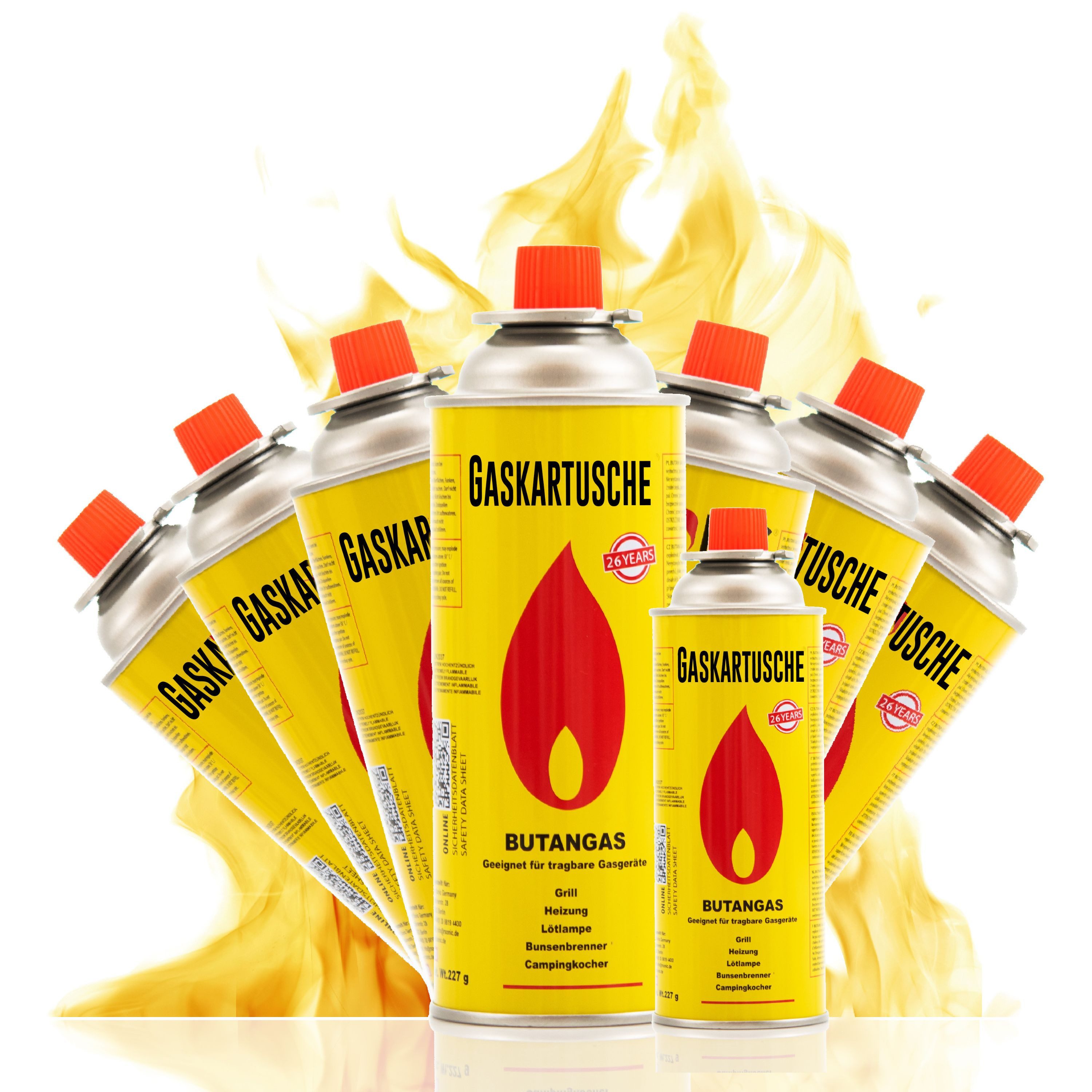 TruWare Gaskartusche 227g Typ MSF-1A – Universal Ventilkartusche mit Bajonettverschluss, Zubehör für für Campingkocher, Gaskocher & Outdoor-Heizgeräte, 8 St.