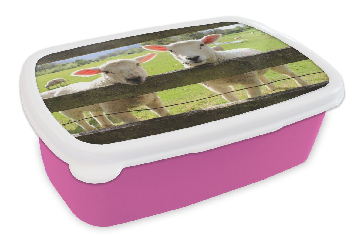 MuchoWow - Kinder, für - Kunststoff, Mädchen, Tiere rosa Schafe Lunchbox Brotbox Bauernhof, Kunststoff Erwachsene, (2-tlg), Brotdose Snackbox,