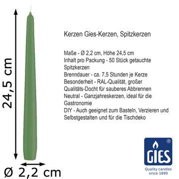 Gies Kerzen Spitzkerze 100 (2x50Stk) Gies Premium Spitzkerzen, 24,5 x 2,35 cm, salbei