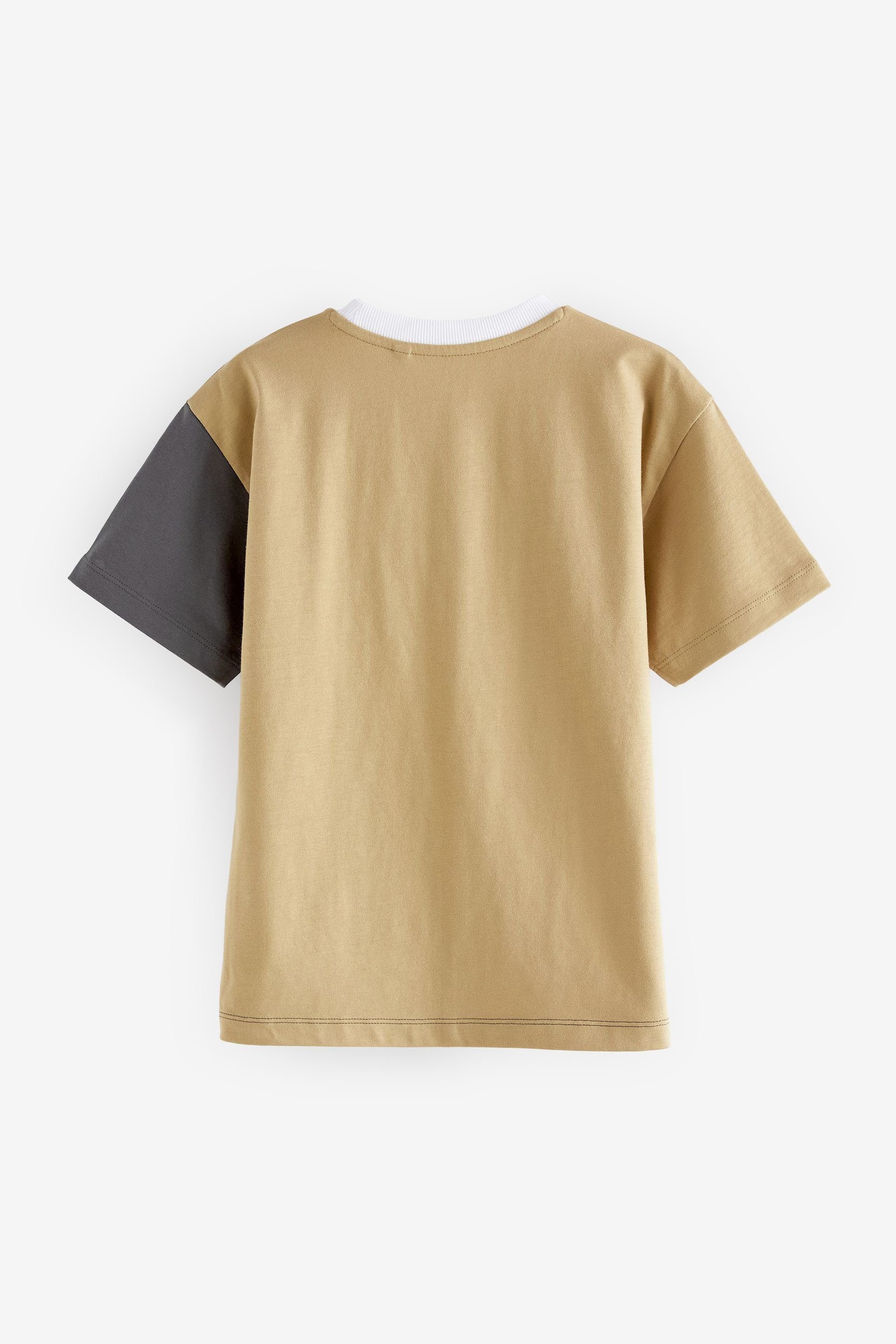 Blockfarben (1-tlg) in T-Shirt Next T-Shirt