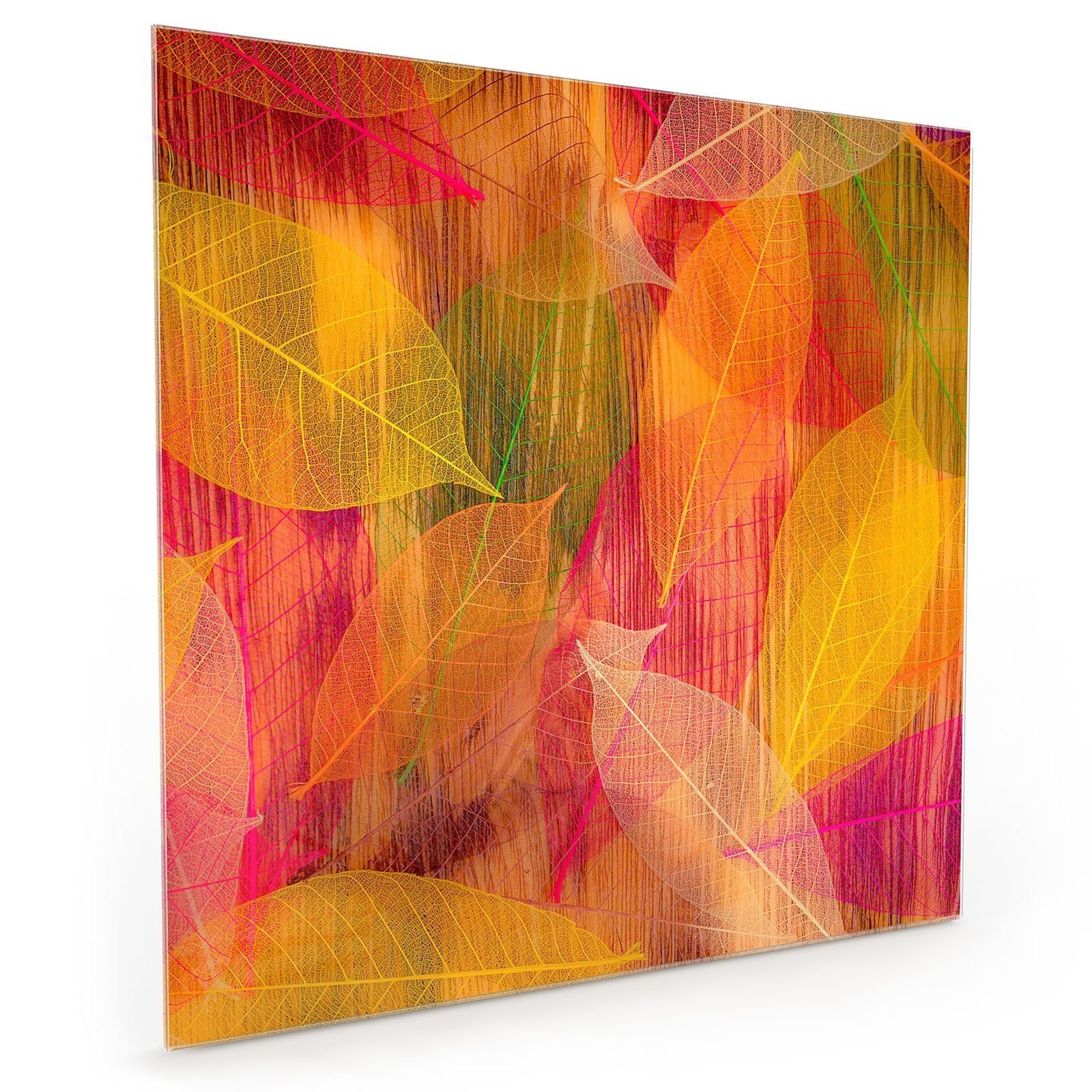 Primedeco Illustration Spritzschutz Küchenrückwand mit Glas Herbstblätter Motiv Küchenrückwand