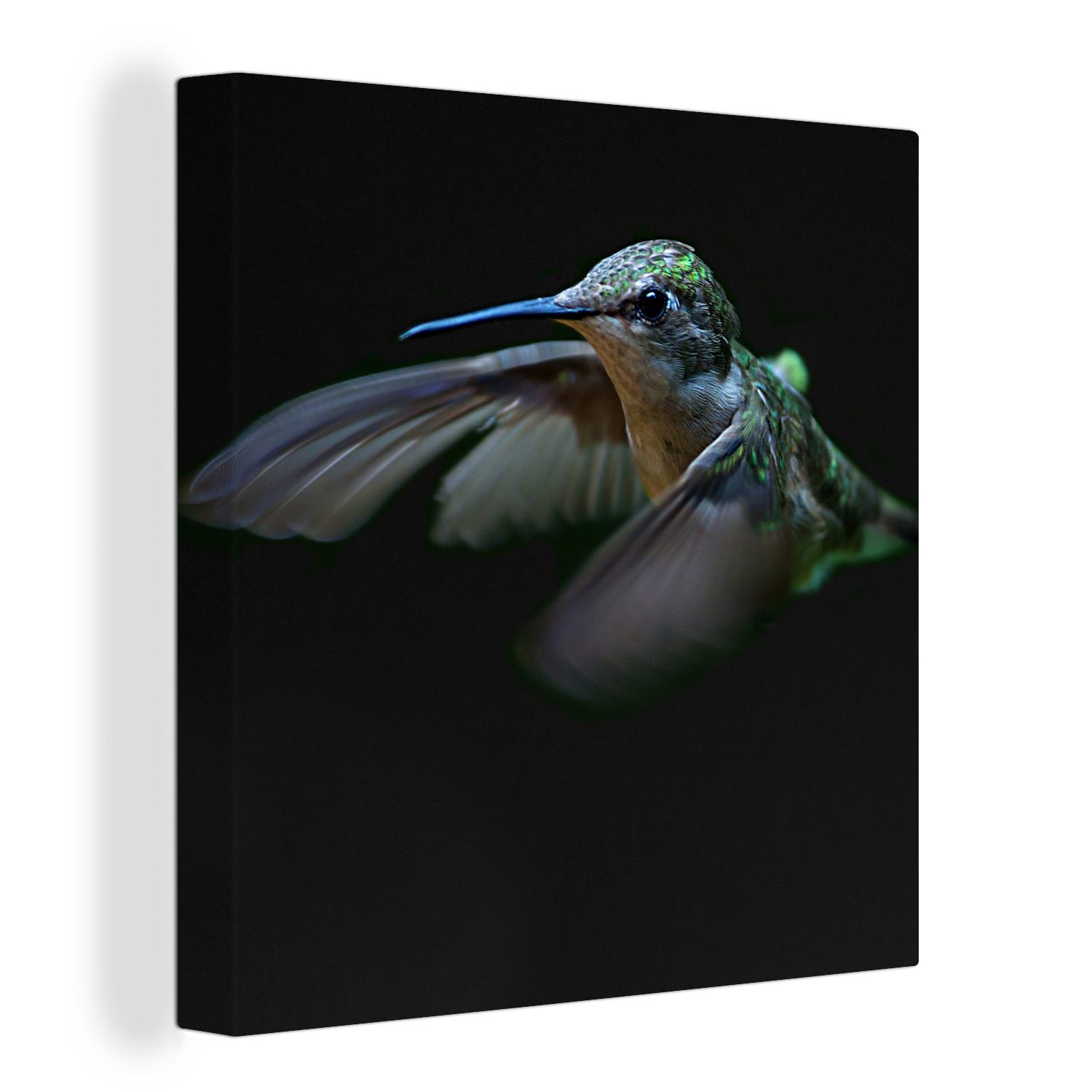 OneMillionCanvasses® Leinwandbild Kolibri - Federn - Schwarz, (1 St), Leinwand Bilder für Wohnzimmer Schlafzimmer