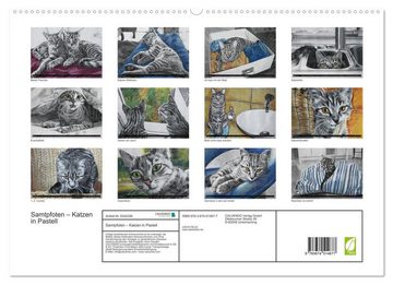 CALVENDO Wandkalender Samtpfoten - Katzen in Pastell (Premium, hochwertiger DIN A2 Wandkalender 2023, Kunstdruck in Hochglanz)