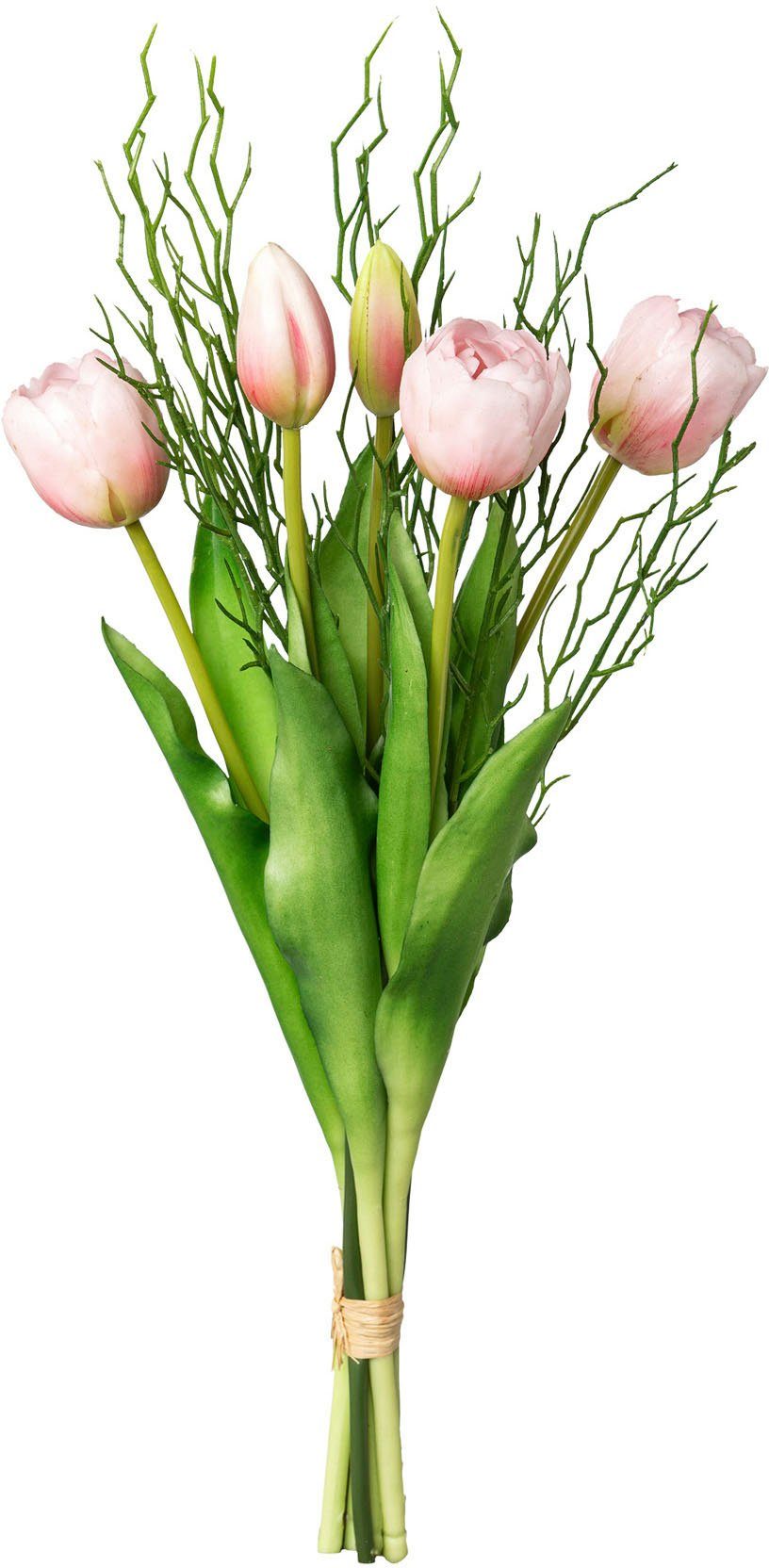 Kunsttulpe Tulpenbund Tulpe, my home, Höhe günstig online kaufen