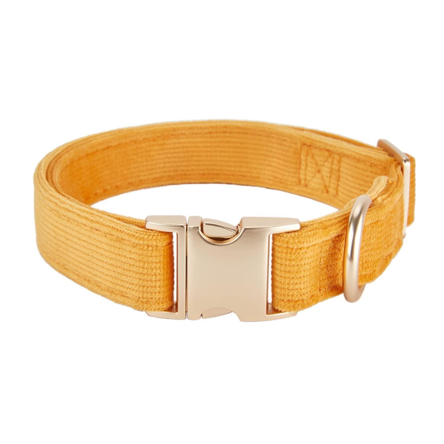 LuxusKollektion Hunde-Halsband Hundehalsband Cord XL Orange