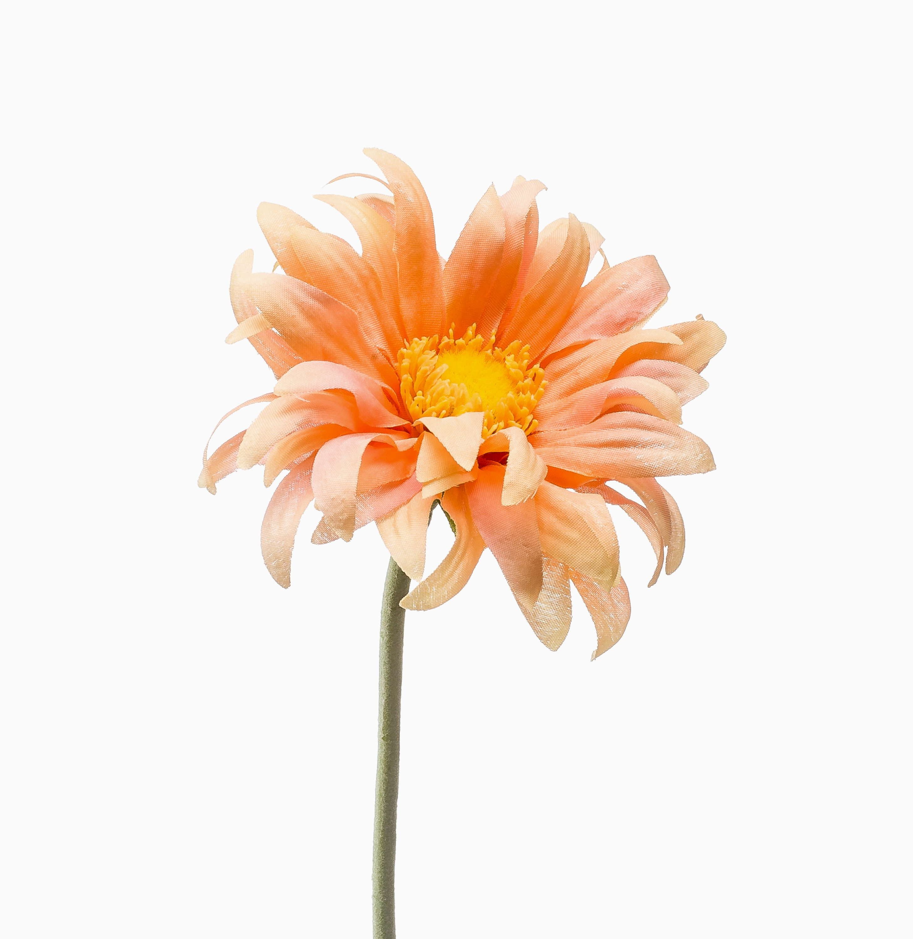 Kunstblume Gerbera BILFON, pfirsich, 50cm Gerbera, artplants, Höhe 50.0 cm
