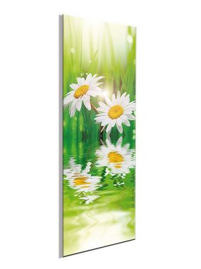 artissimo Glasbild Glasbild 30x80cm Bild aus Glas Wohnzimmer Blume Gänseblümchen grün, Foto: Natur und Pflanzen I