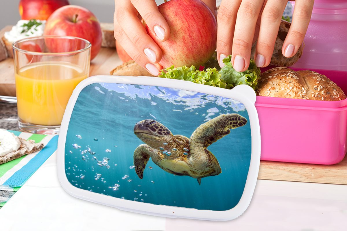 (2-tlg), von Kunststoff, Brotbox Erwachsene, Kinder, Kunststoff für rosa umgeben Meeresschildkröte Mädchen, Brotdose Eine Blasen, MuchoWow Snackbox, Lunchbox