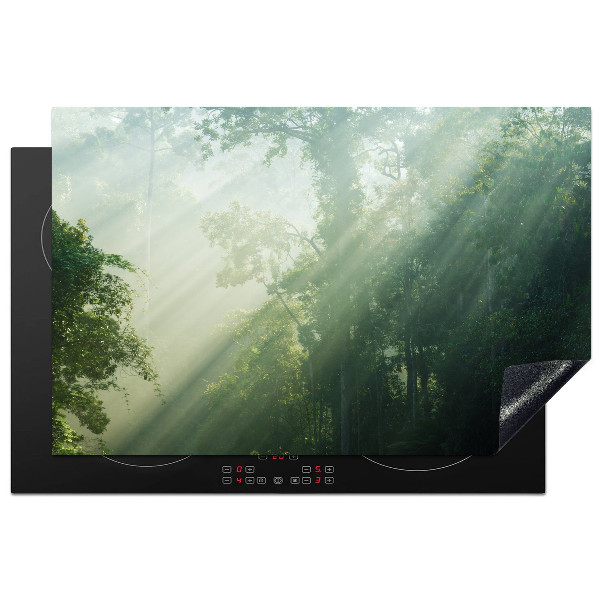 MuchoWow Herdblende-/Abdeckplatte Sonnenstrahlen in einem grünen Wald in Malaysia, Vinyl, (1 tlg), 81x52 cm, Induktionskochfeld Schutz für die küche, Ceranfeldabdeckung