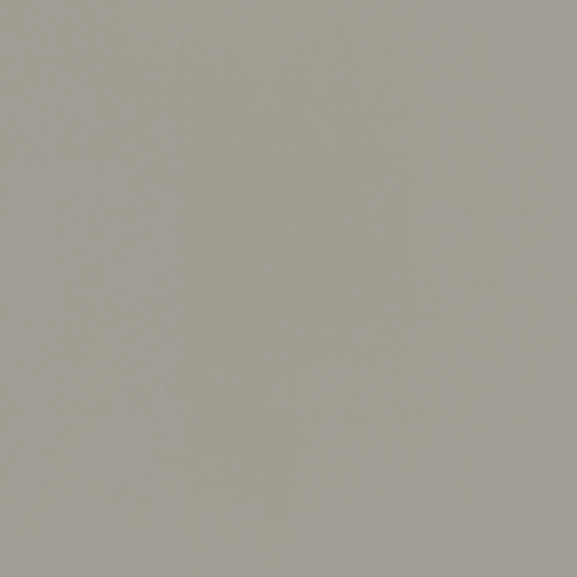 GARDINIA Schiebegardine Gardinia Flächenvorhang Stoff Basic anthrazit 60, Lichtschutz, Stoff