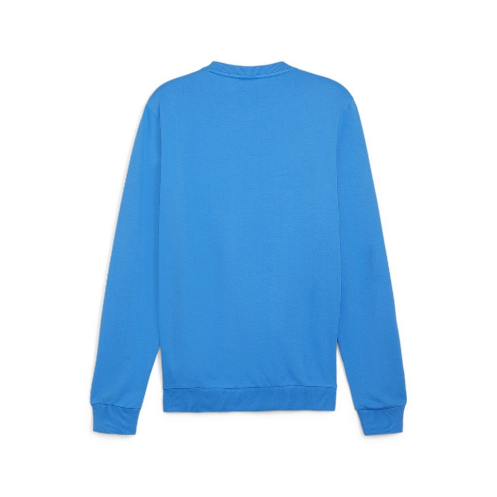 PUMA Kapuzenpullover Herren teamGOAL Casuals Crew günstig online kaufen