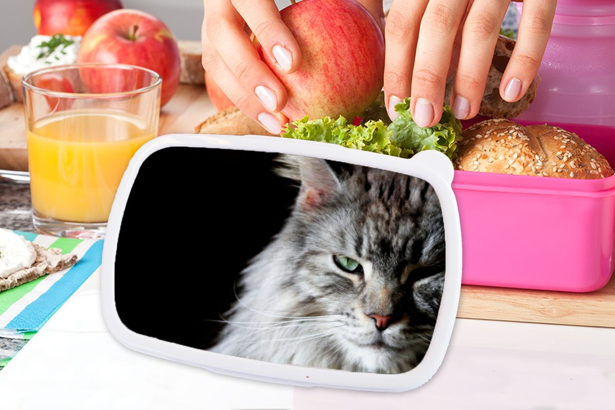 MuchoWow Lunchbox Porträt einer Kunststoff, Katze, Kinder, Brotdose graufarbigen Brotbox Snackbox, für Coon Mädchen, rosa (2-tlg), Maine Kunststoff Erwachsene