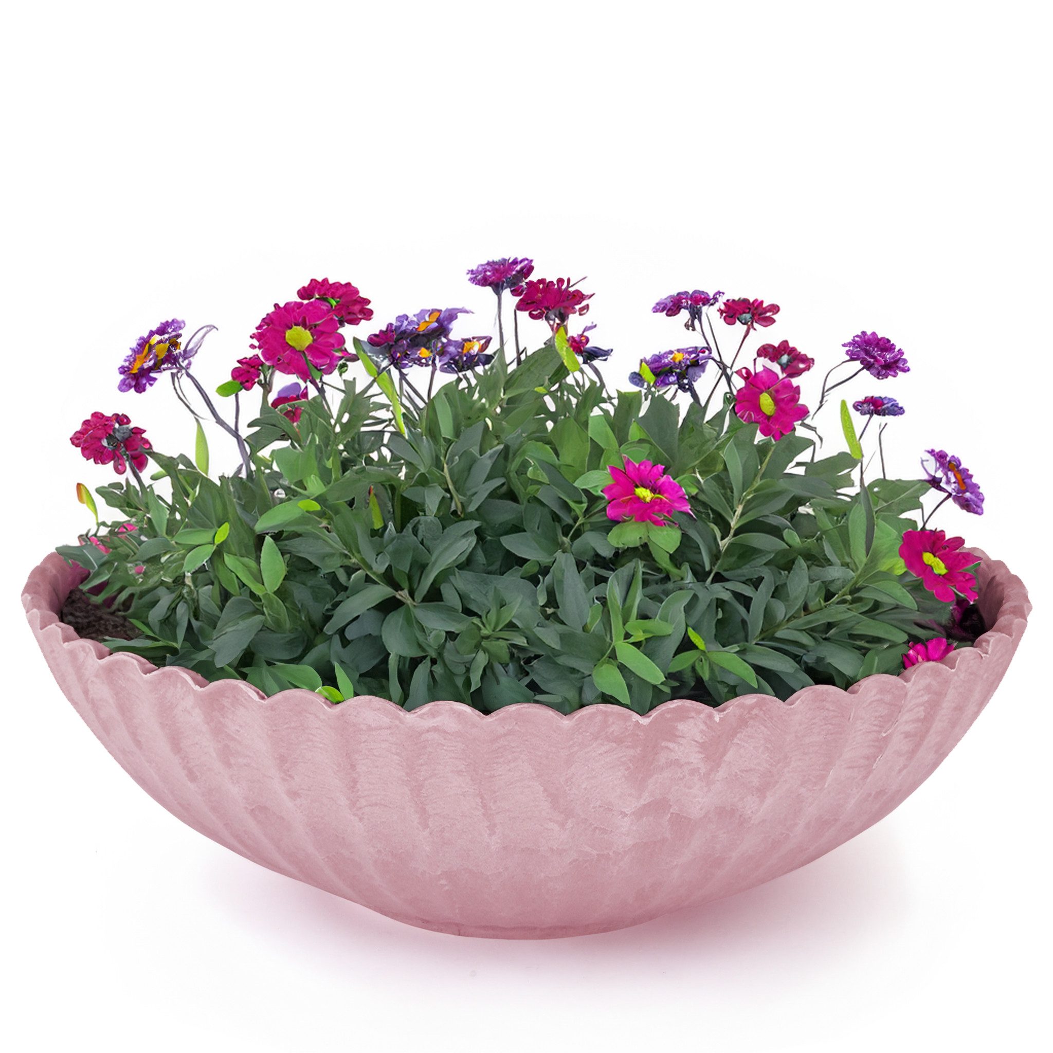 matches21 HOME & HOBBY Blumentopf Runde Pflanz-Schale gewellt für draussen günstig online kaufen