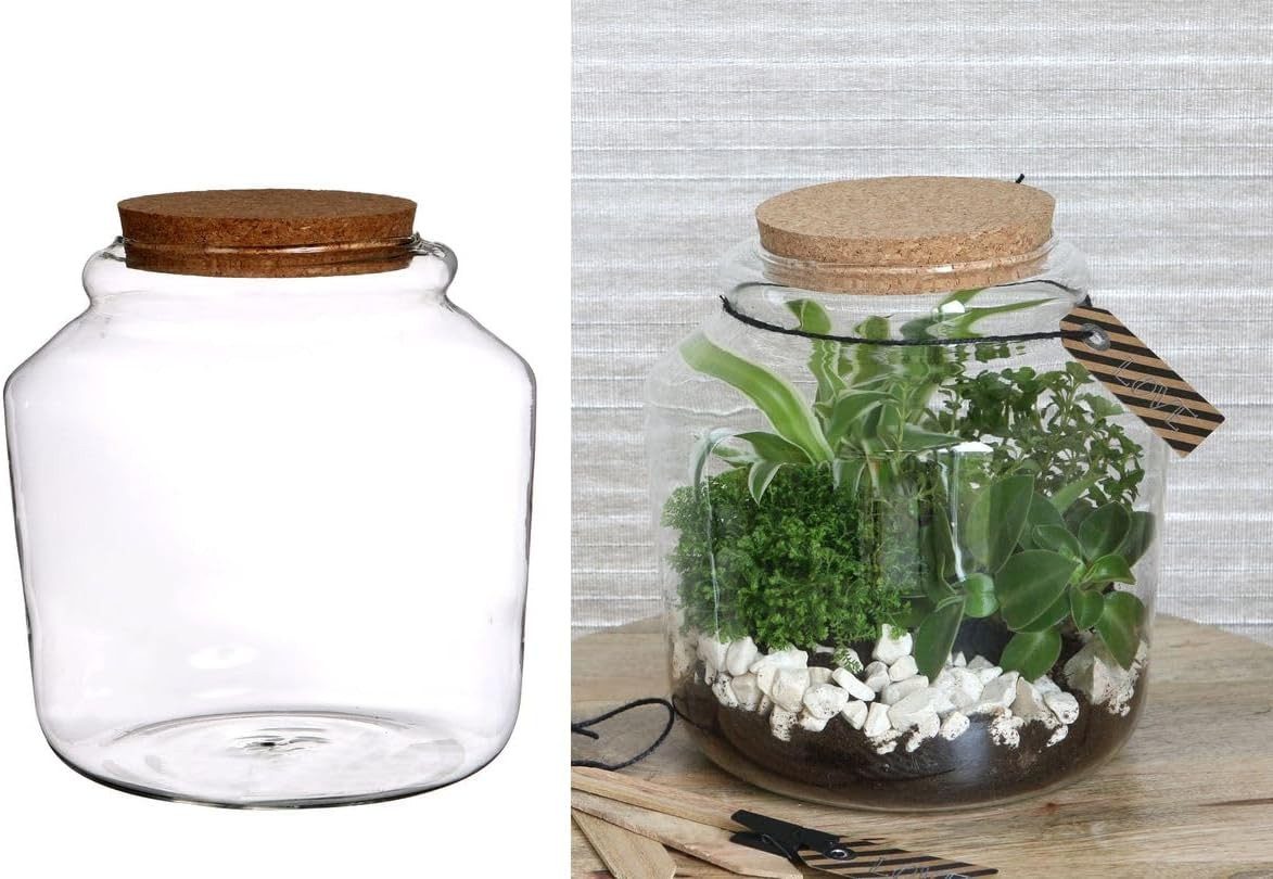 Dekovase Pflanzen Terrarium aus Glas, mit Korken Größe Ø18 h.18 cm