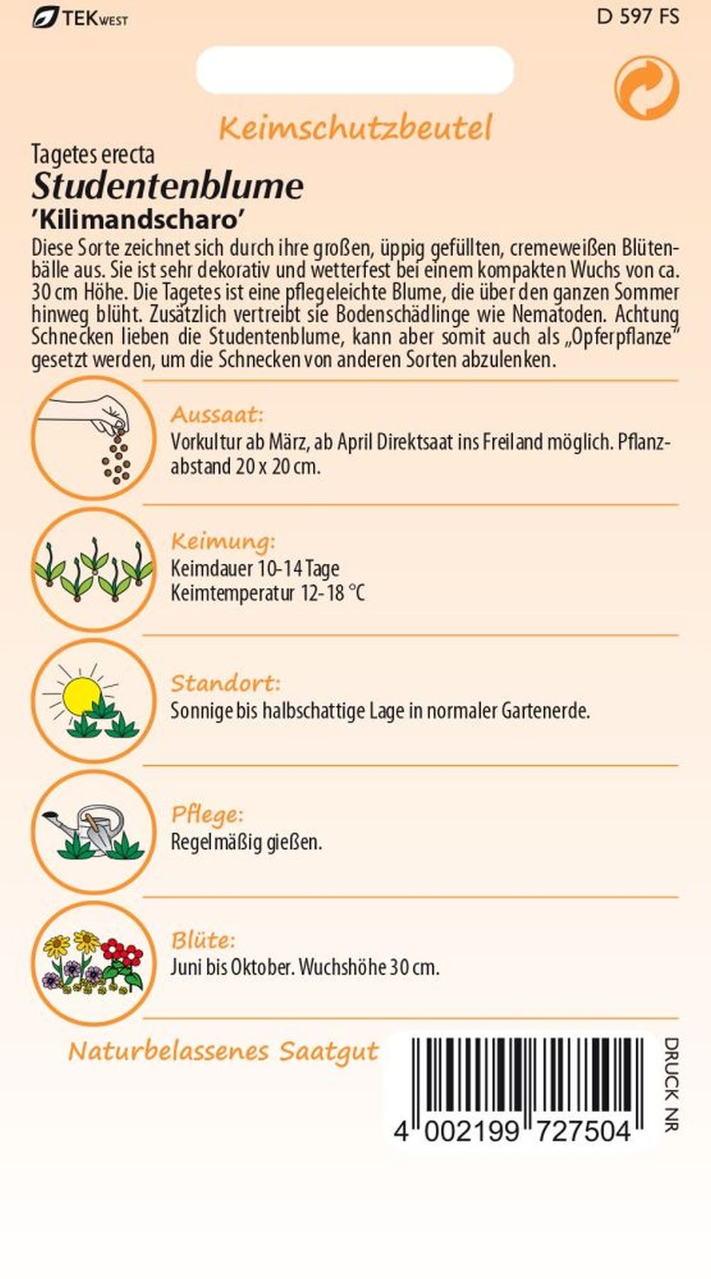 SAMEN PFANN Blumensamen Tagetes, Kilimandscharo - Saatgut Tagetes-Samen Sam günstig online kaufen