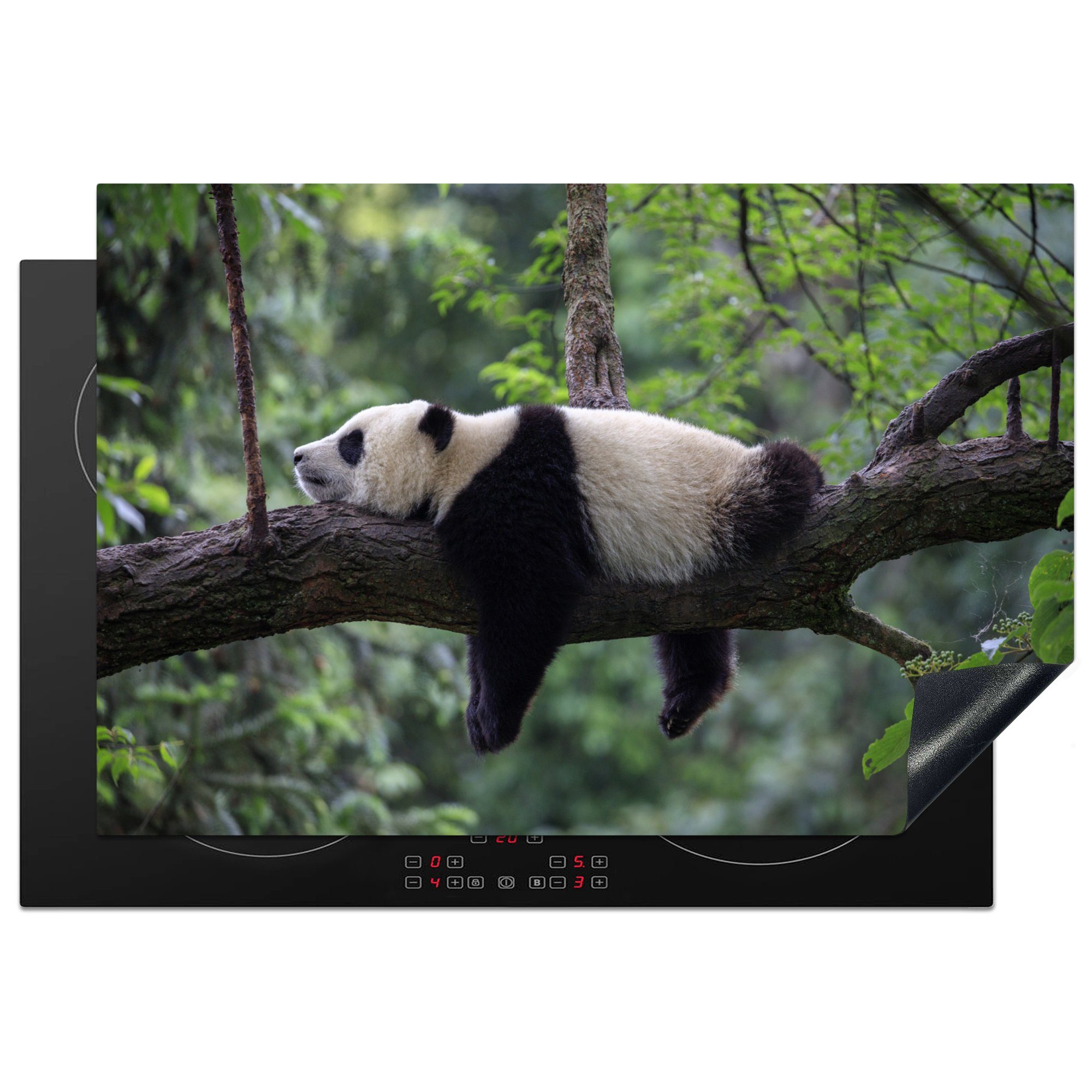 MuchoWow Herdblende-/Abdeckplatte Panda - Baum - Tiere - Natur, Vinyl, (1 tlg), 77x51 cm, Ceranfeldabdeckung, Arbeitsplatte für küche