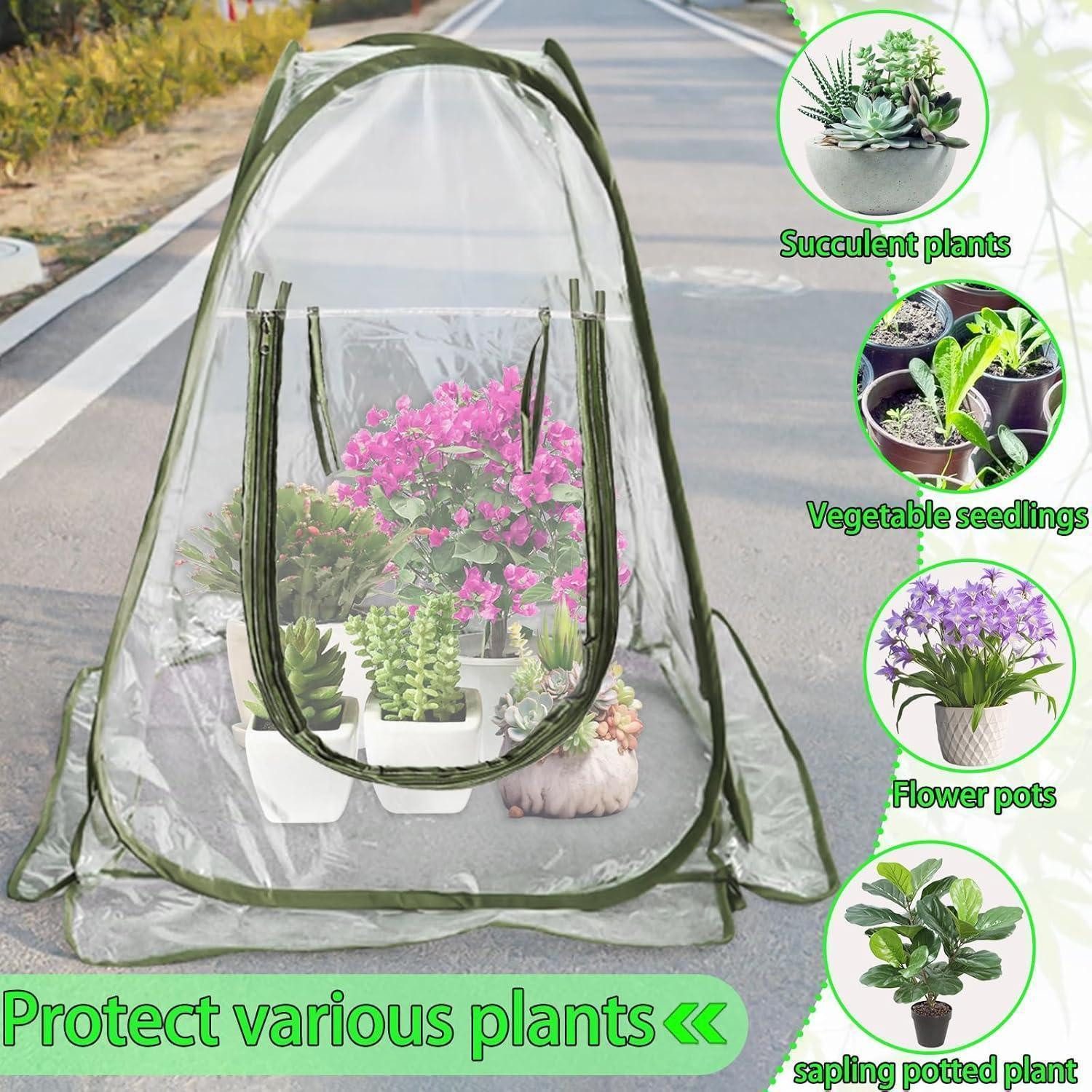 LuxusKollektion Winterschutzhaube Mini Gewächshaus Überwinterungszelt Pflan günstig online kaufen